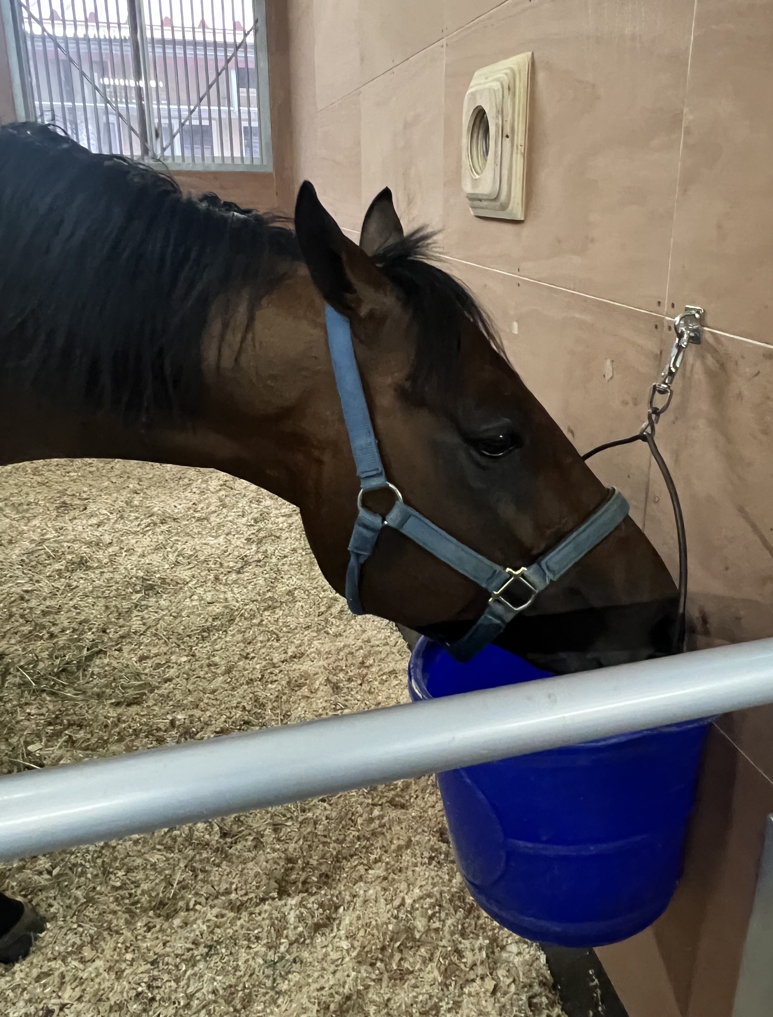 画像サムネイル