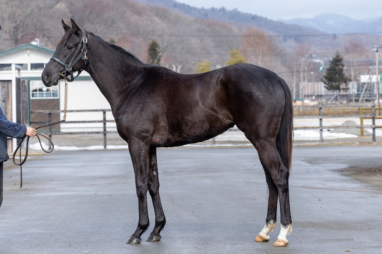 画像サムネイル