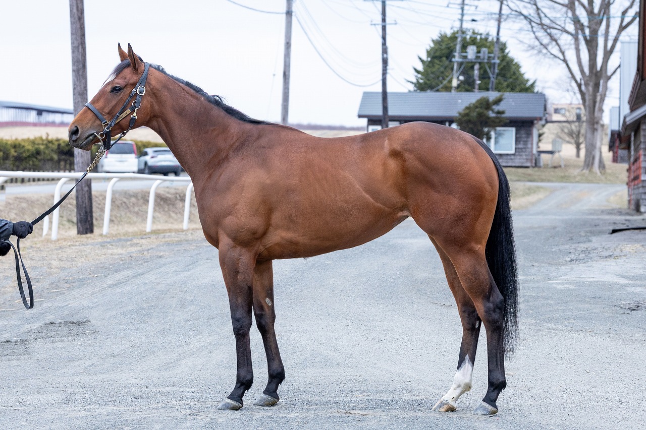 画像サムネイル