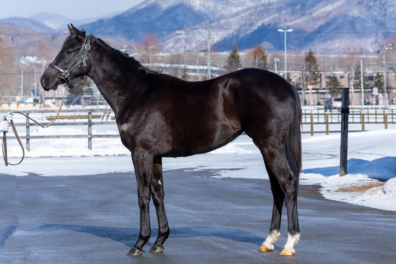 画像サムネイル