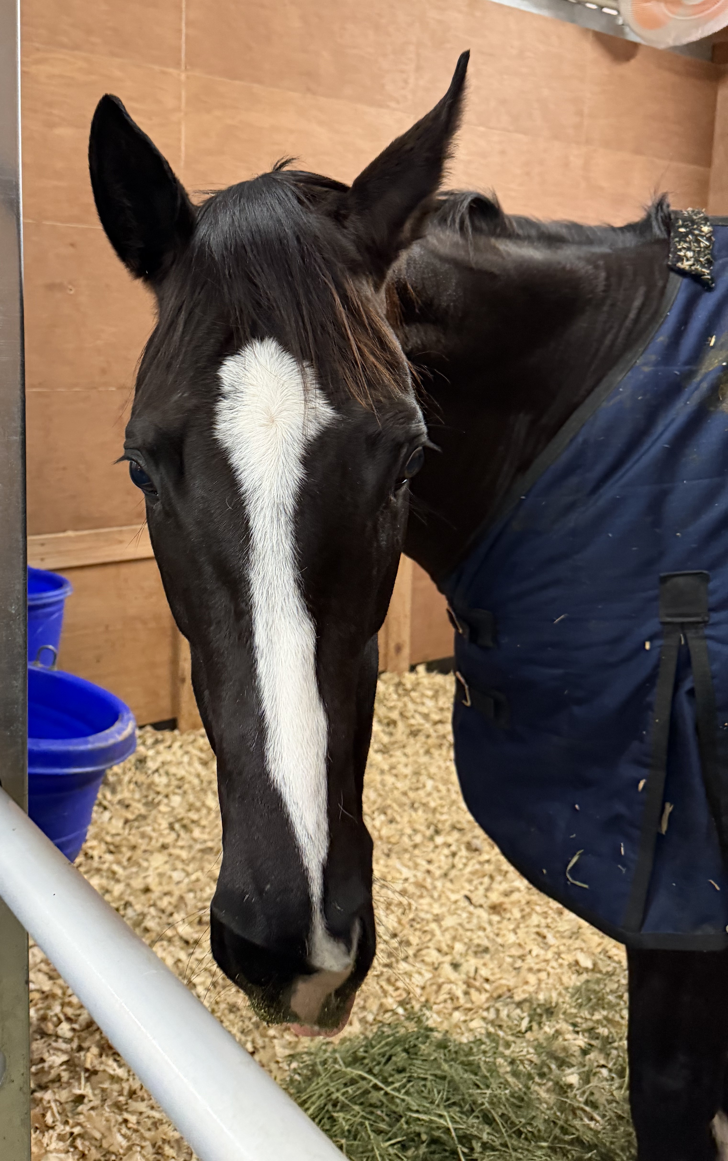 画像サムネイル