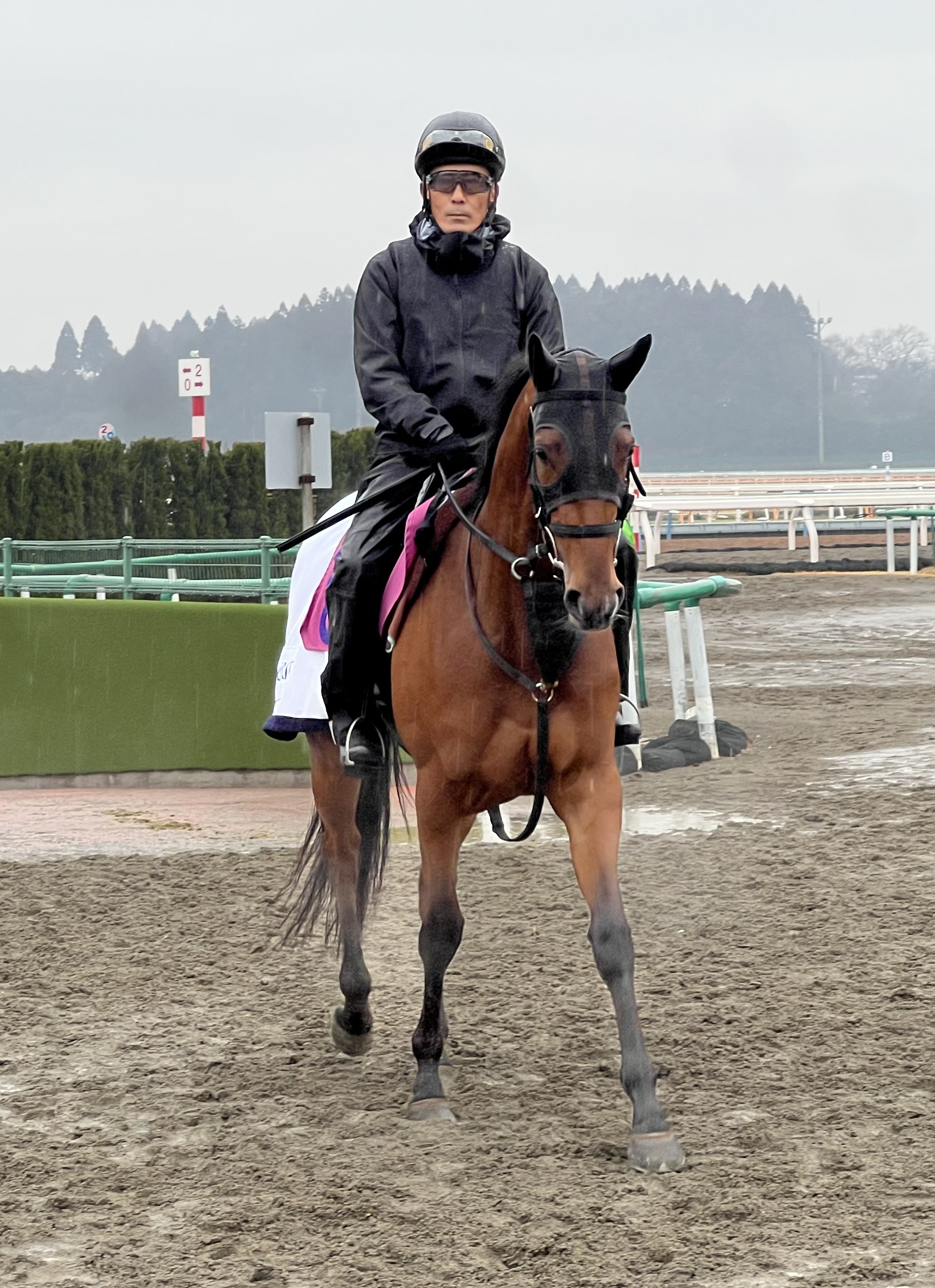 画像サムネイル