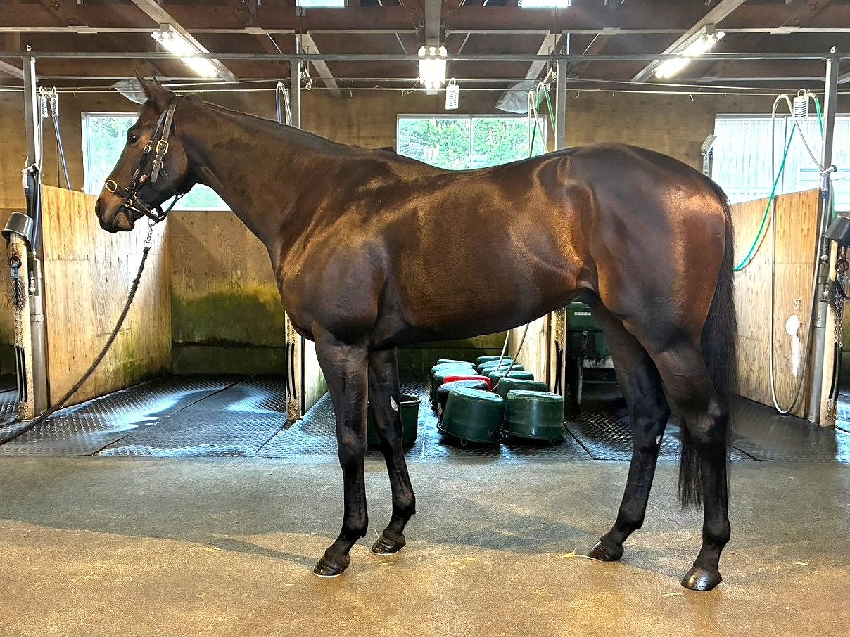 画像サムネイル