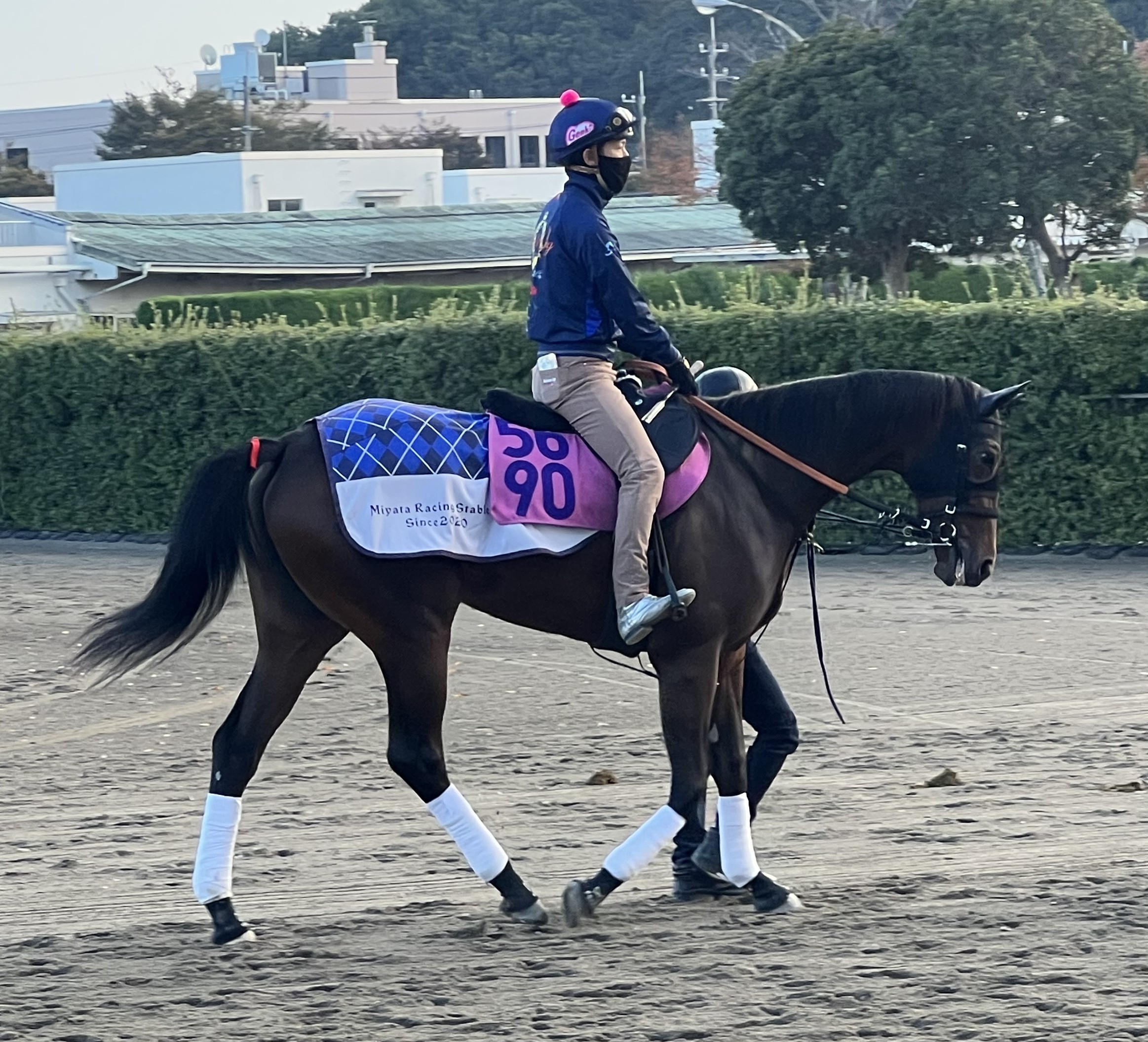 画像サムネイル