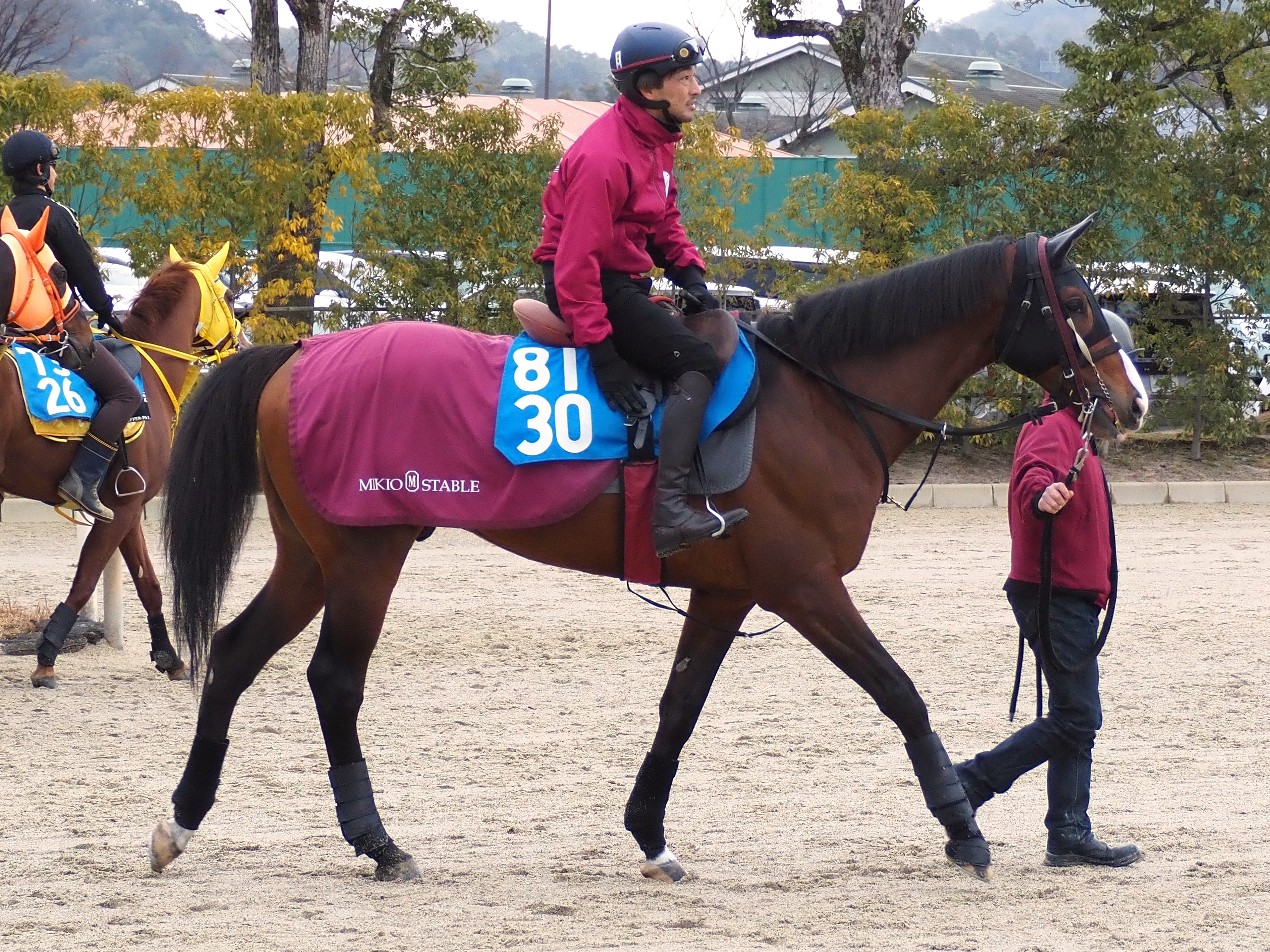 画像サムネイル