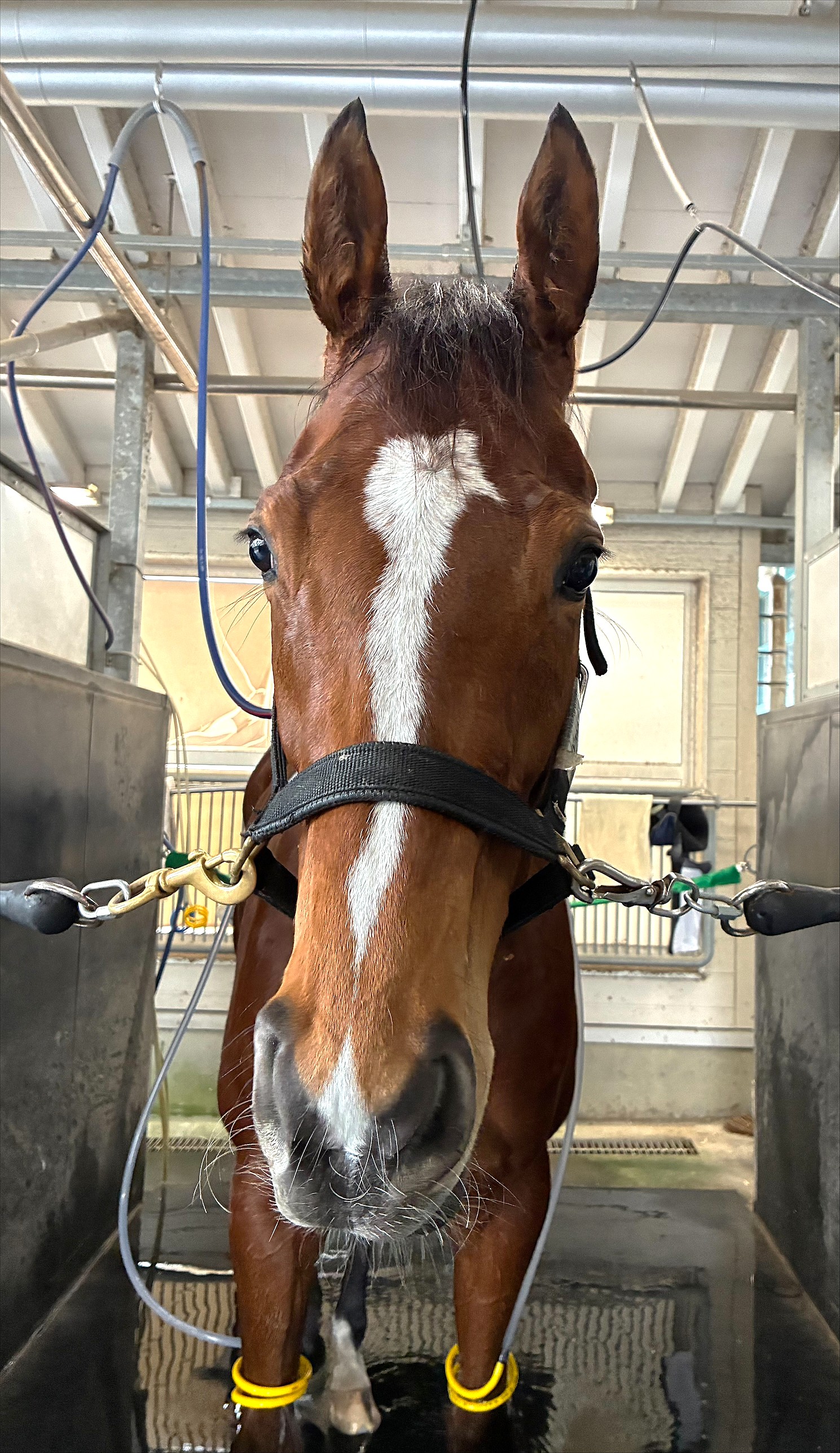 画像サムネイル