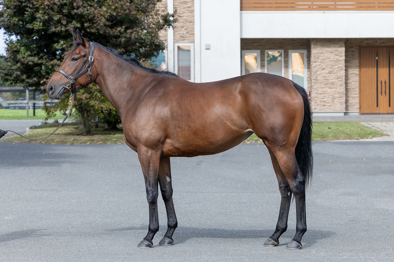 画像サムネイル