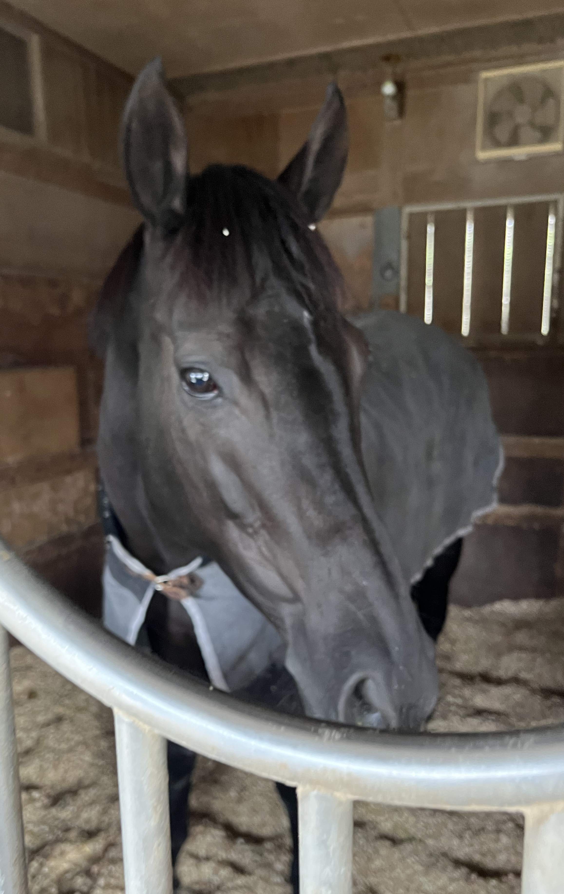 画像サムネイル