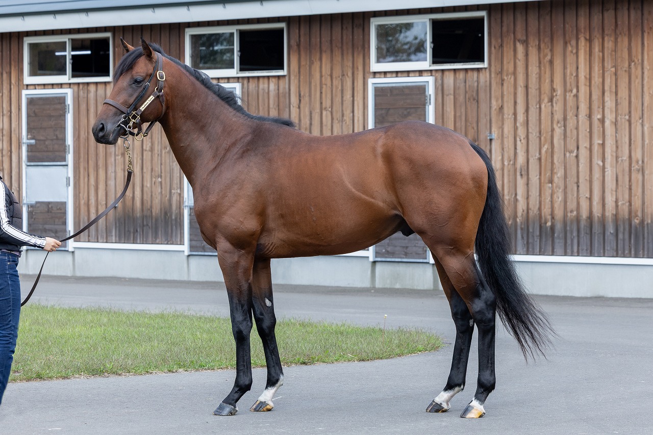 画像サムネイル