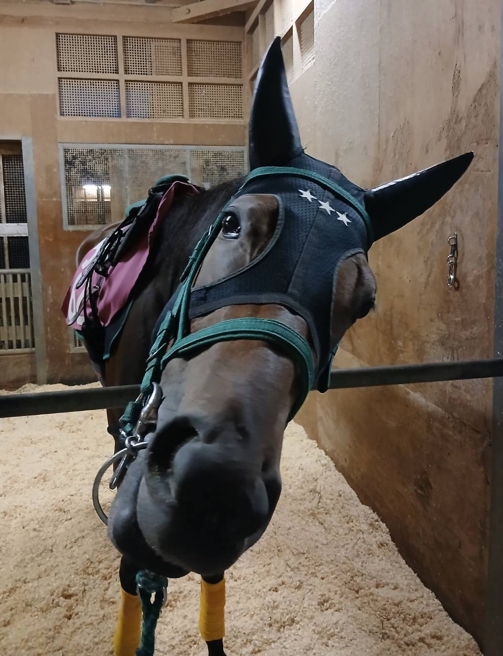 画像サムネイル