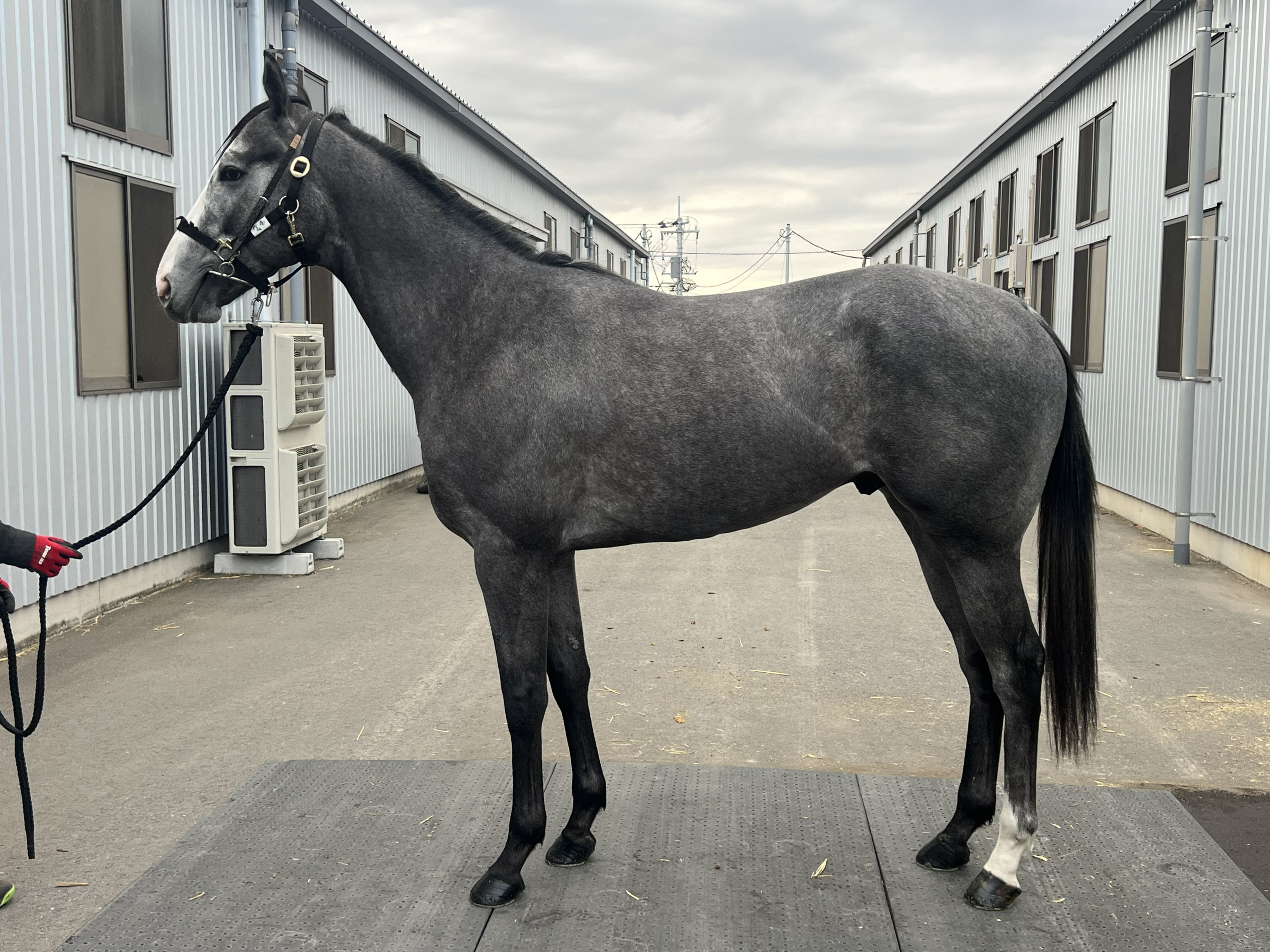 画像サムネイル