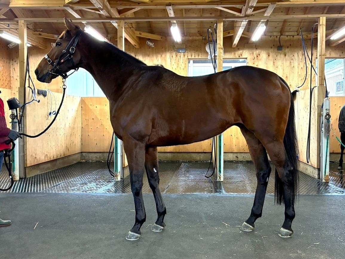 画像サムネイル