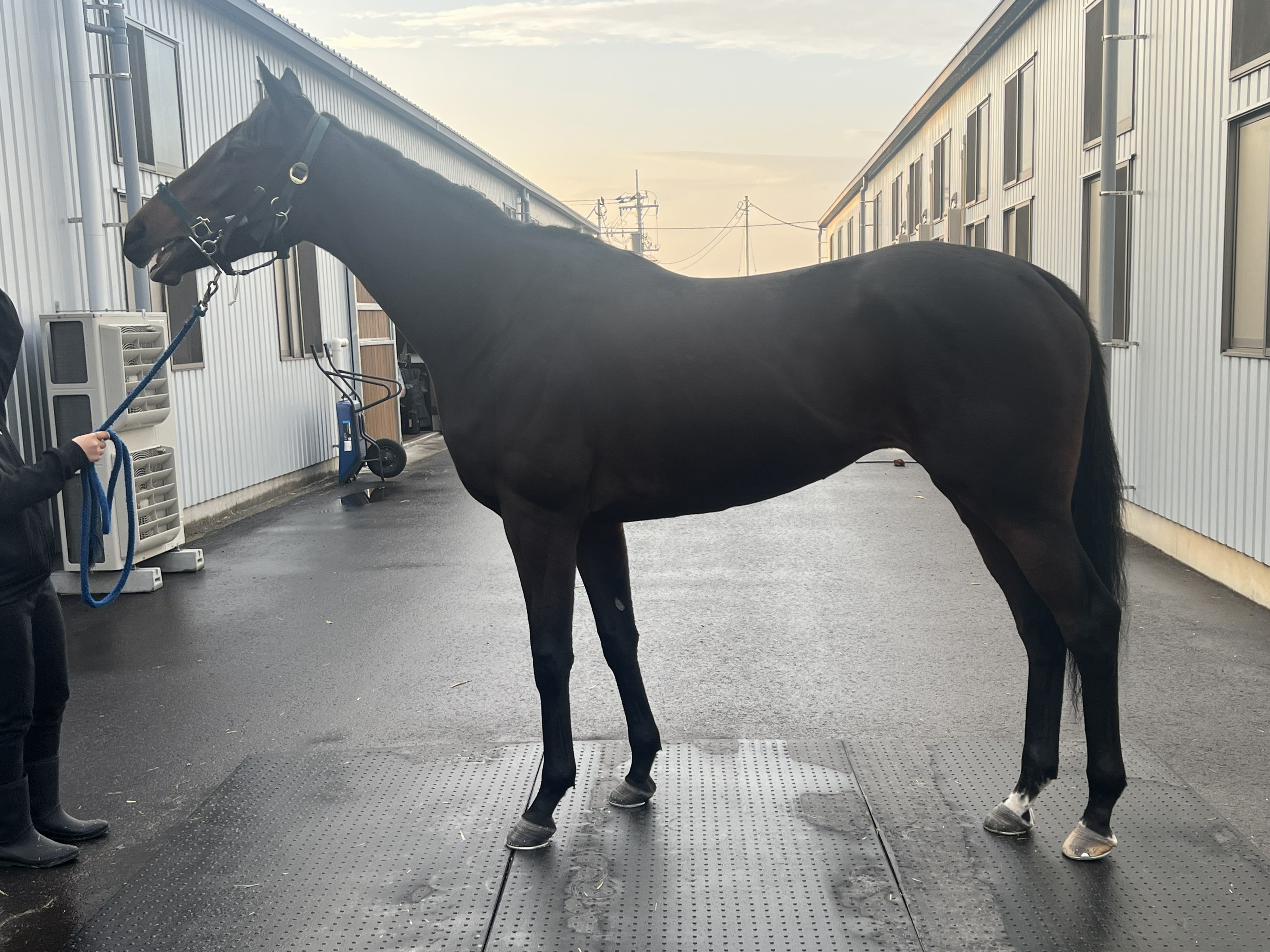 画像サムネイル