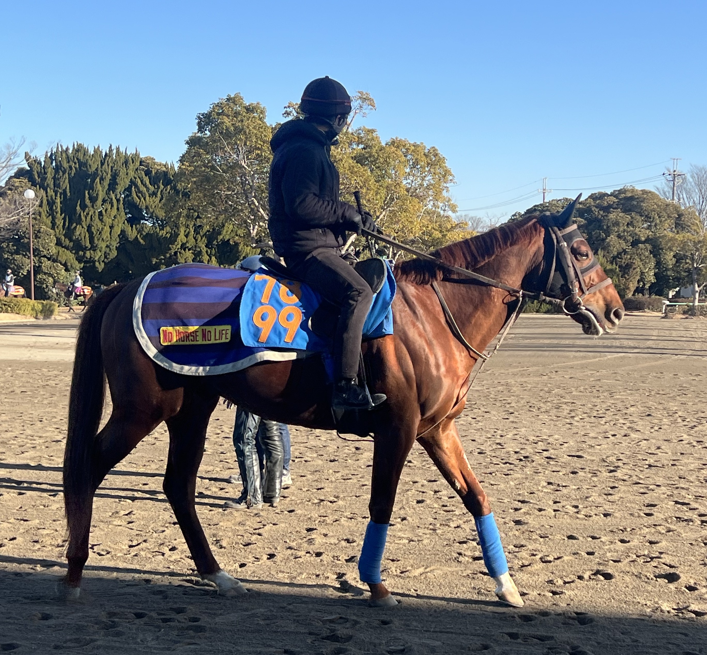 画像サムネイル