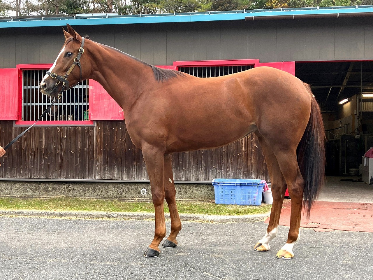 画像サムネイル