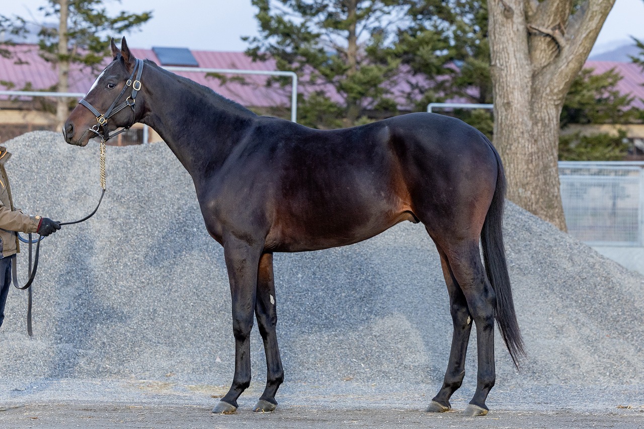 画像サムネイル