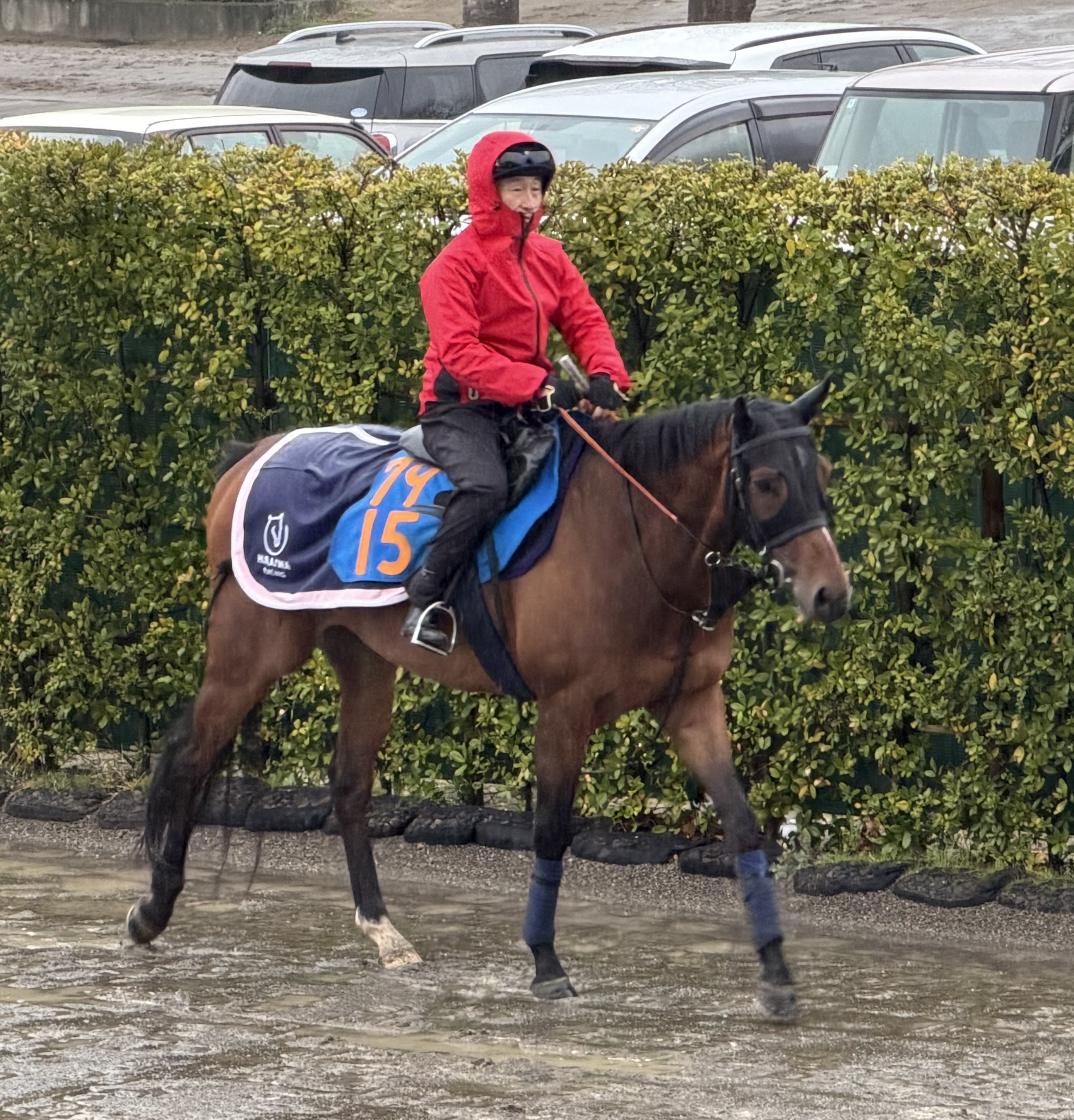 画像サムネイル