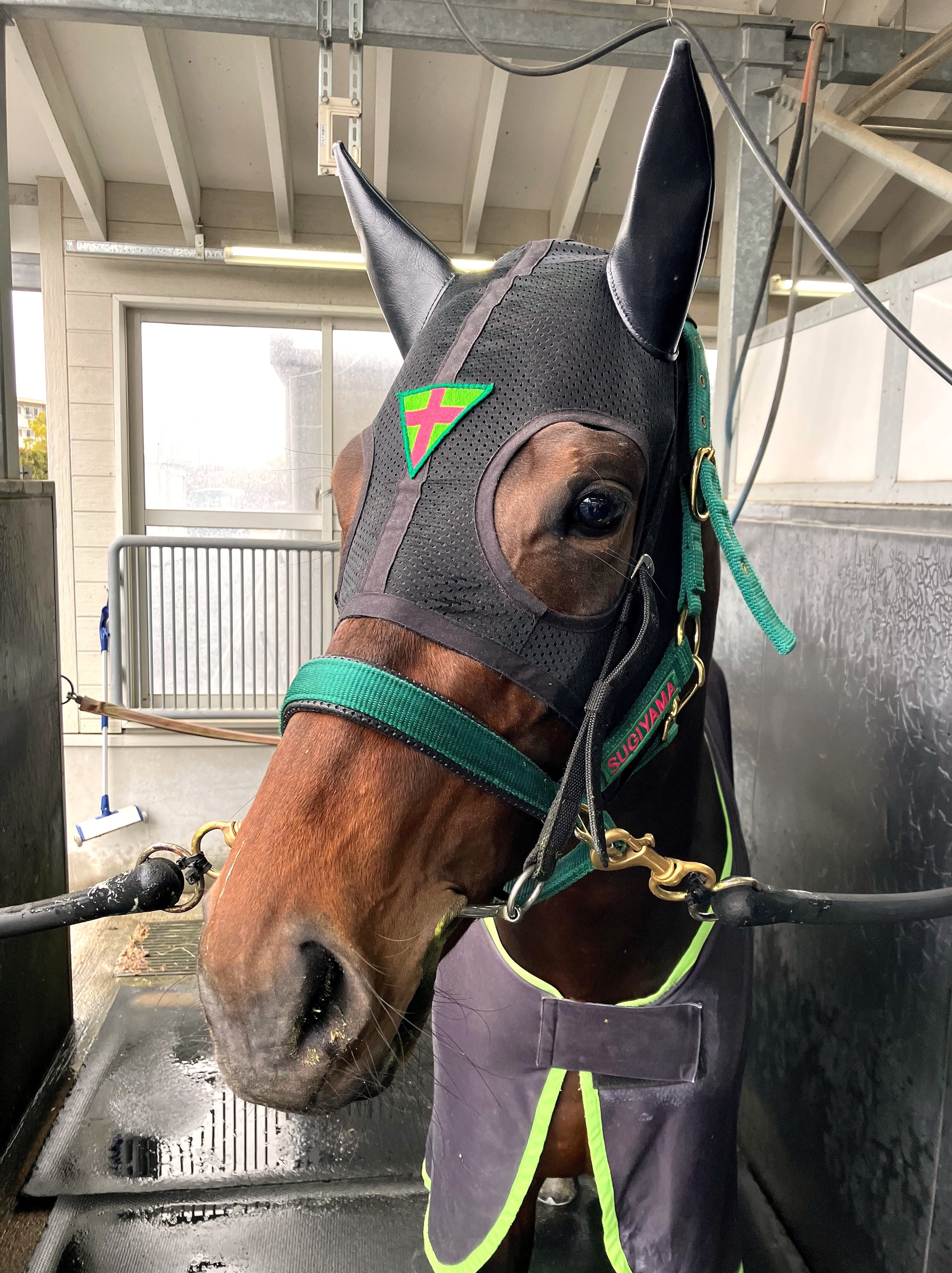 画像サムネイル