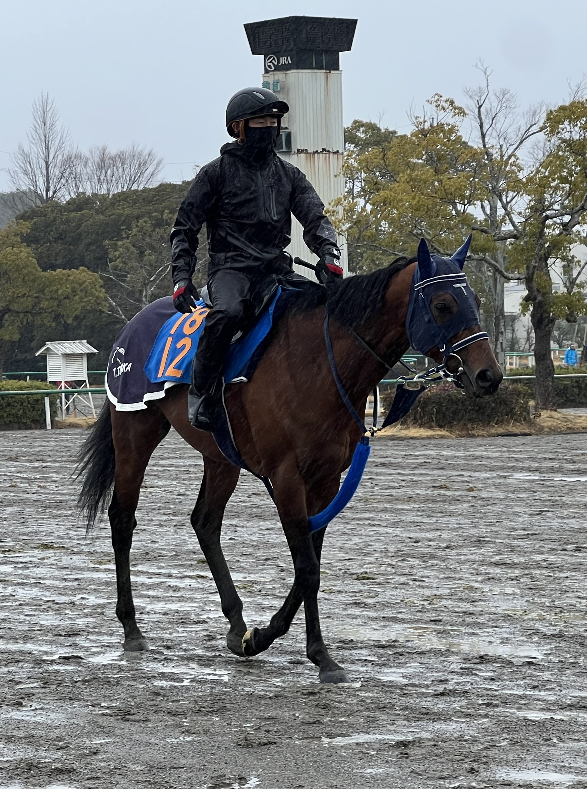 画像サムネイル