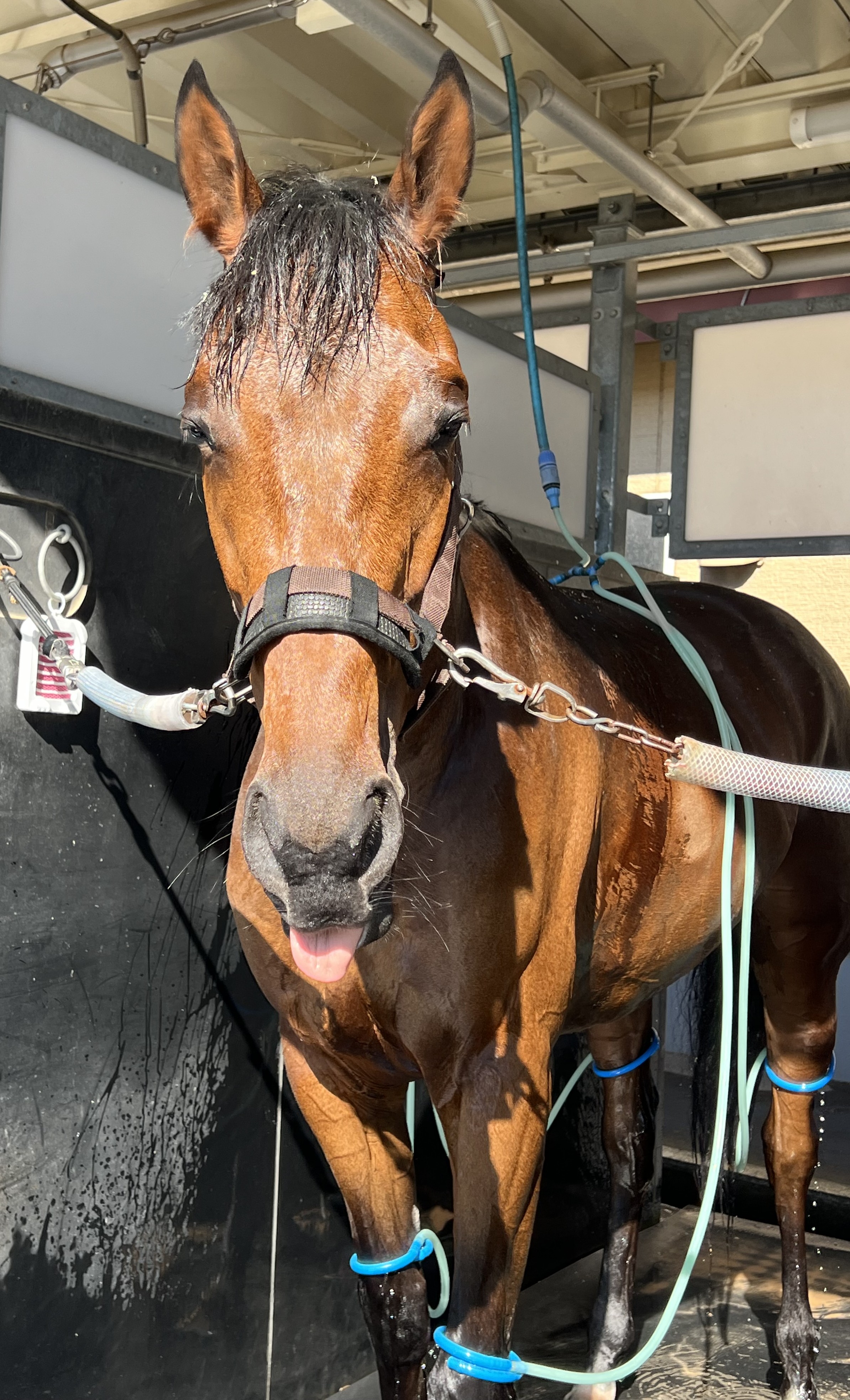 画像サムネイル