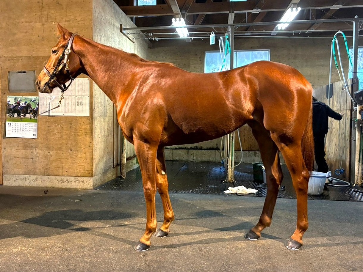 画像サムネイル