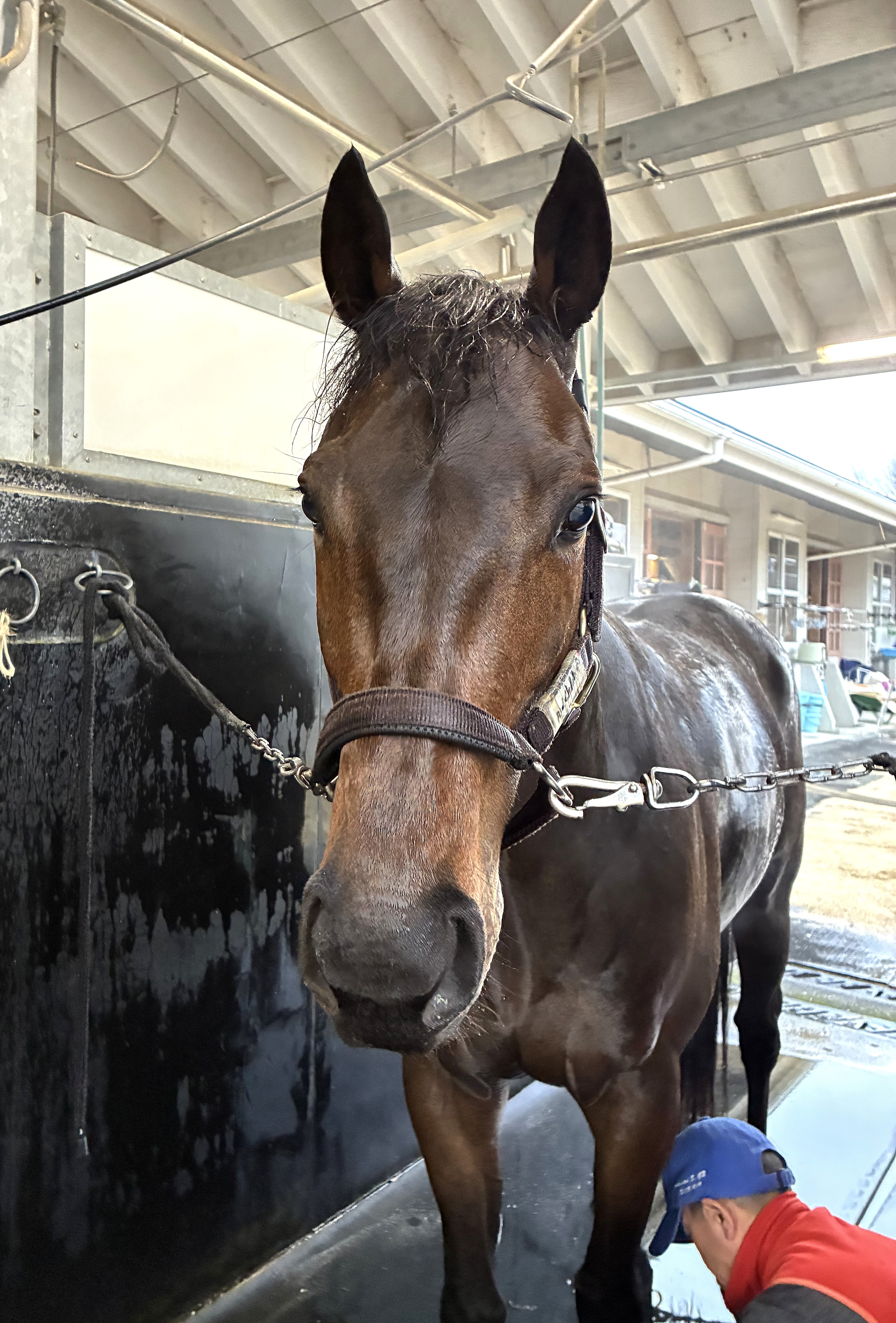 画像サムネイル