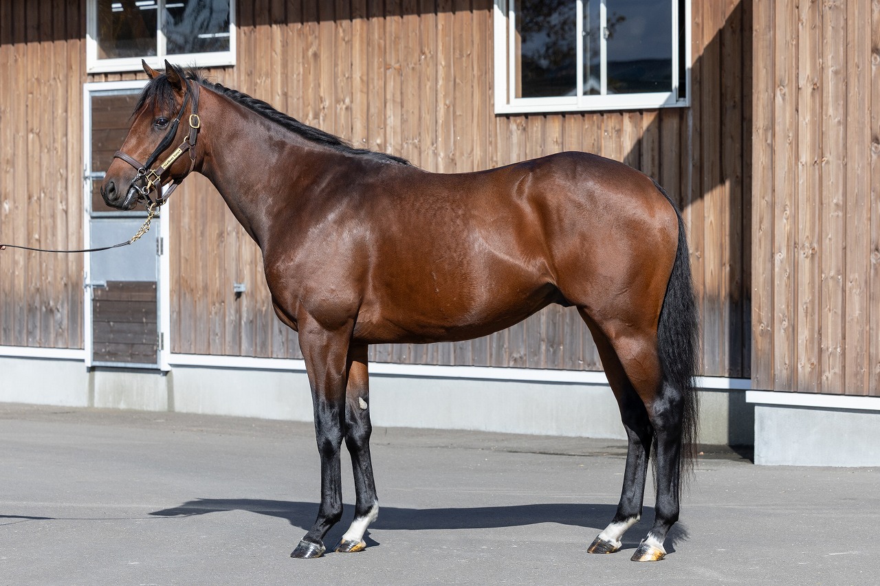 画像サムネイル