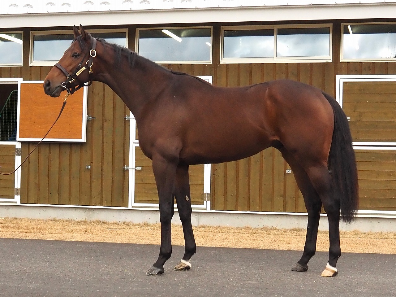 画像サムネイル