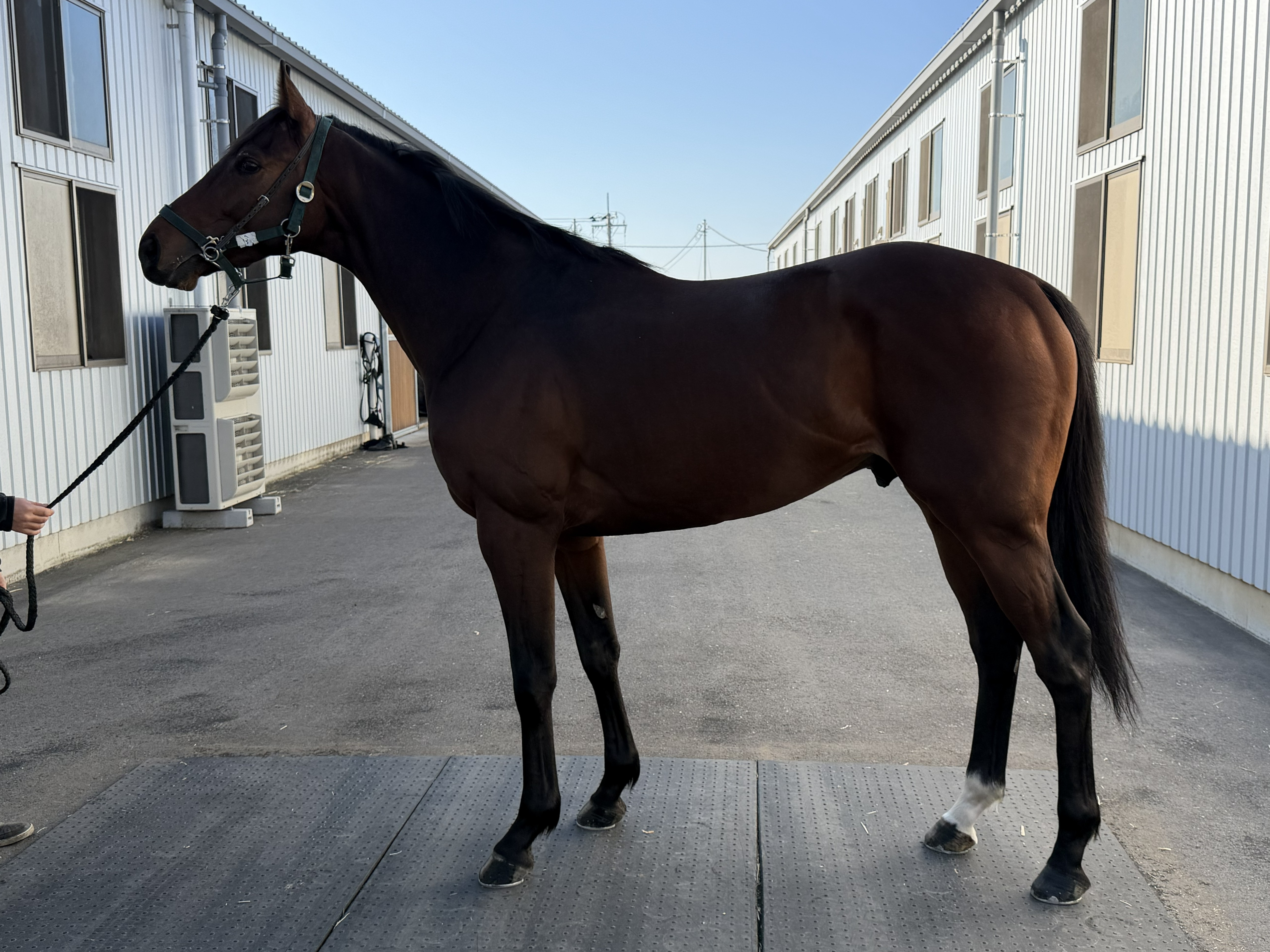 画像サムネイル