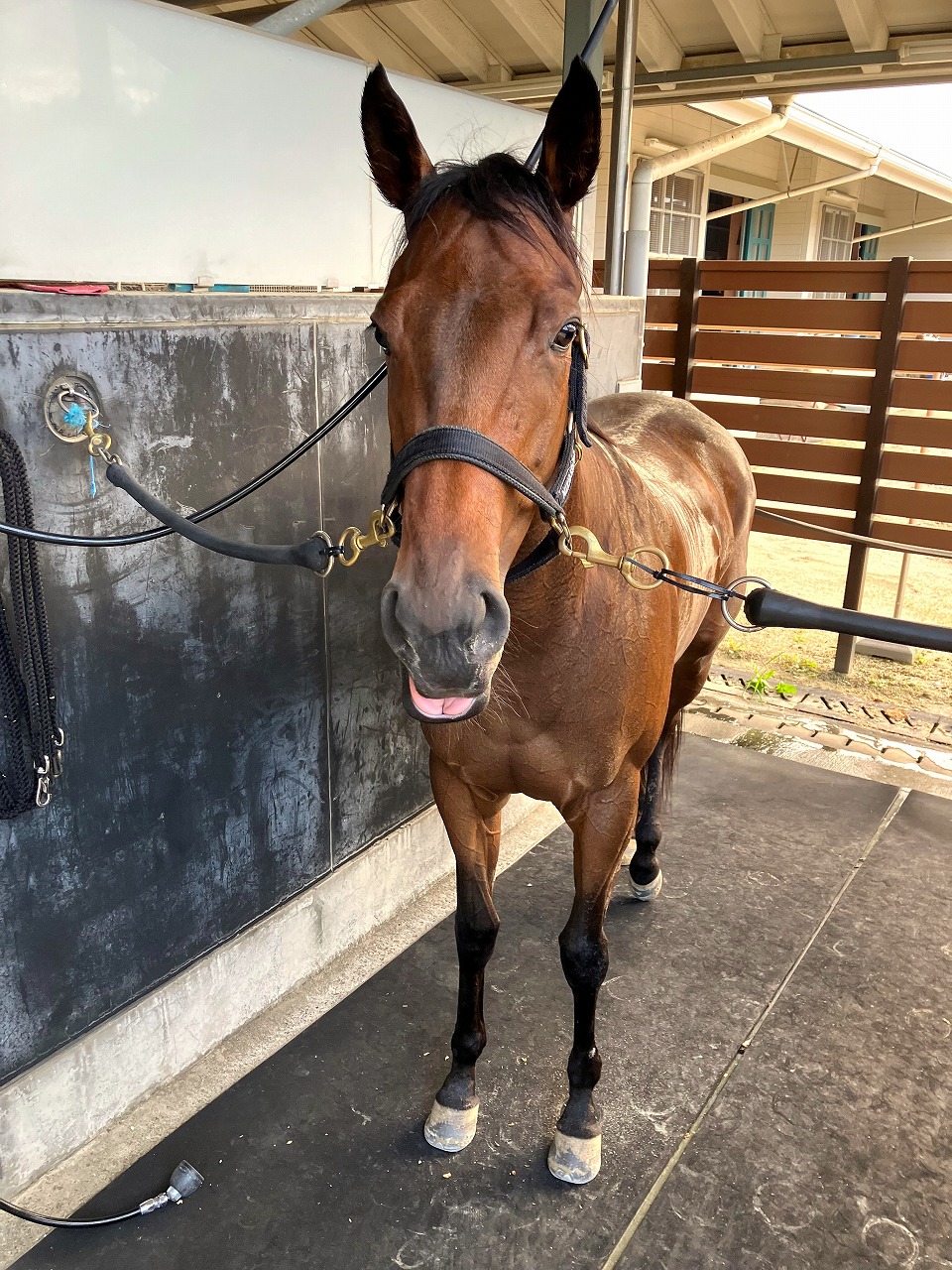 画像サムネイル