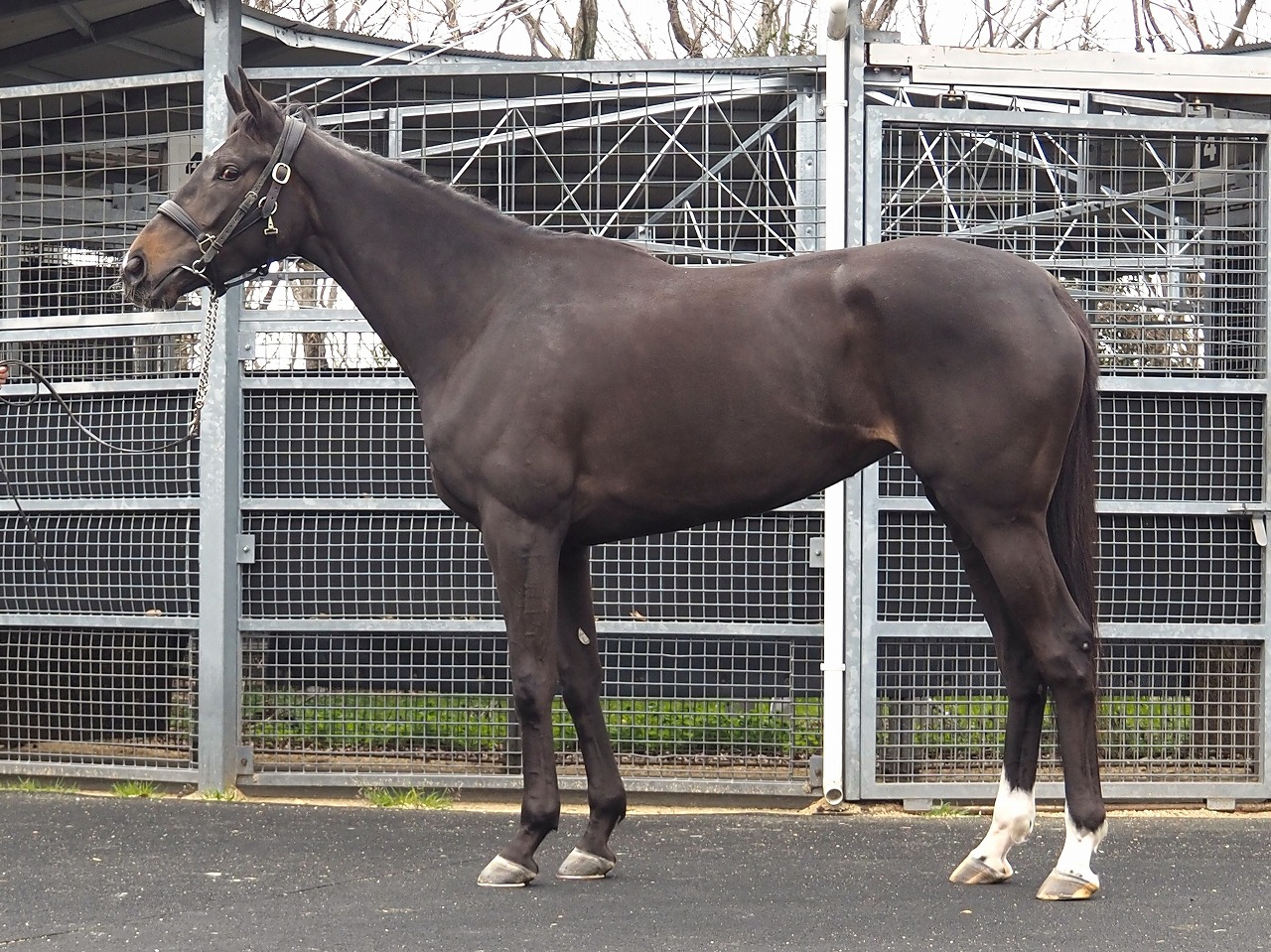 画像サムネイル