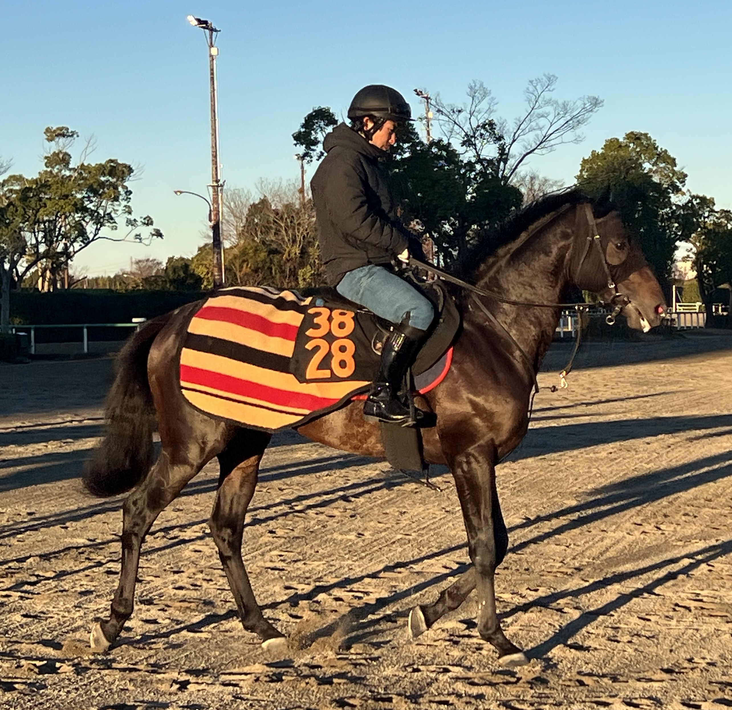 画像サムネイル