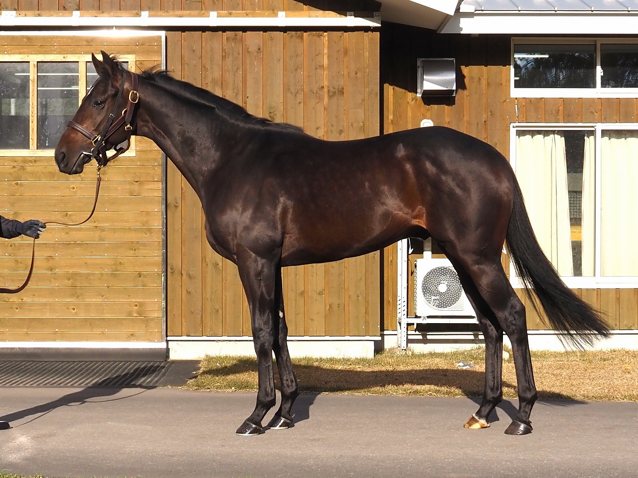 画像サムネイル