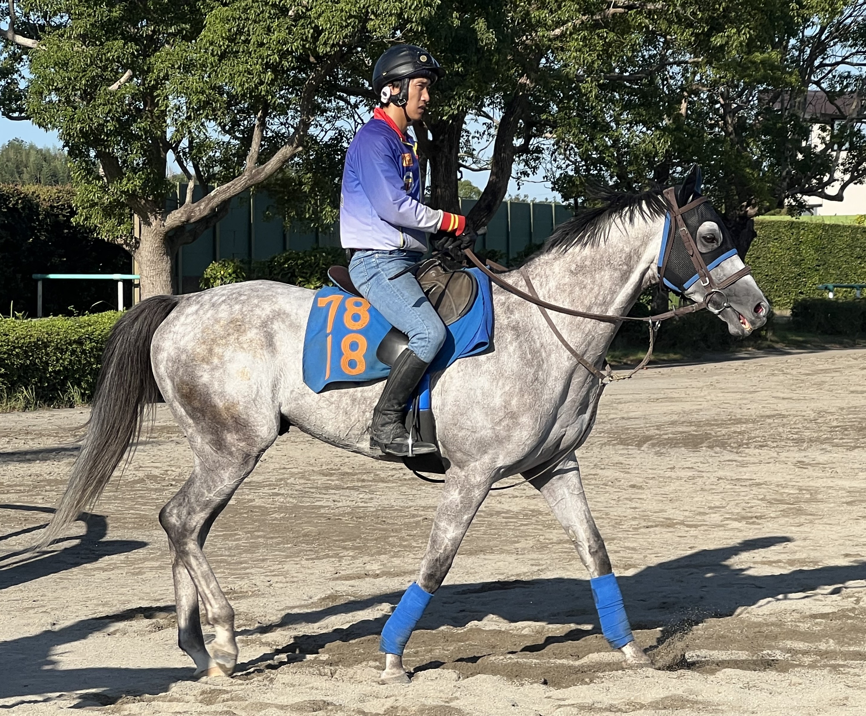 画像サムネイル