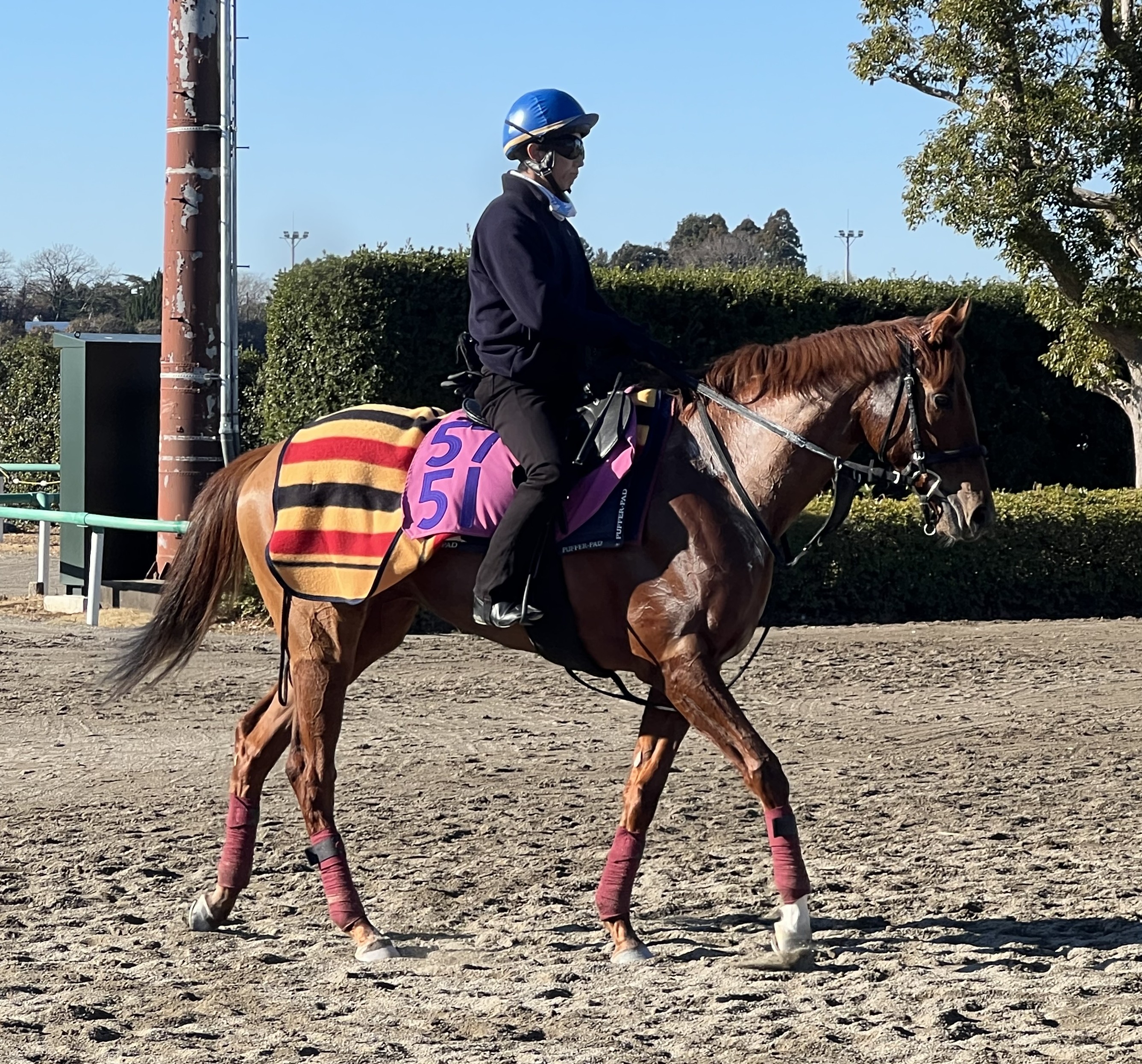 画像サムネイル