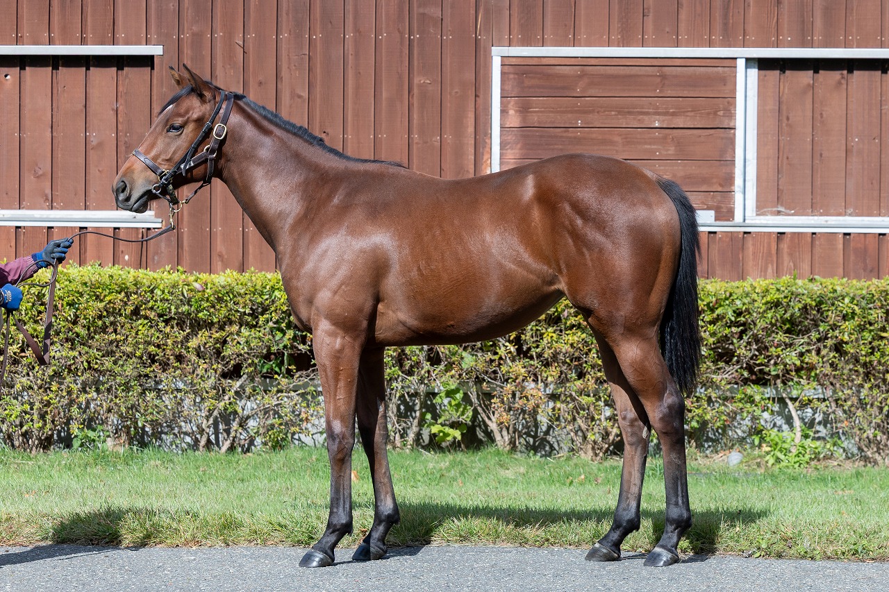 画像サムネイル