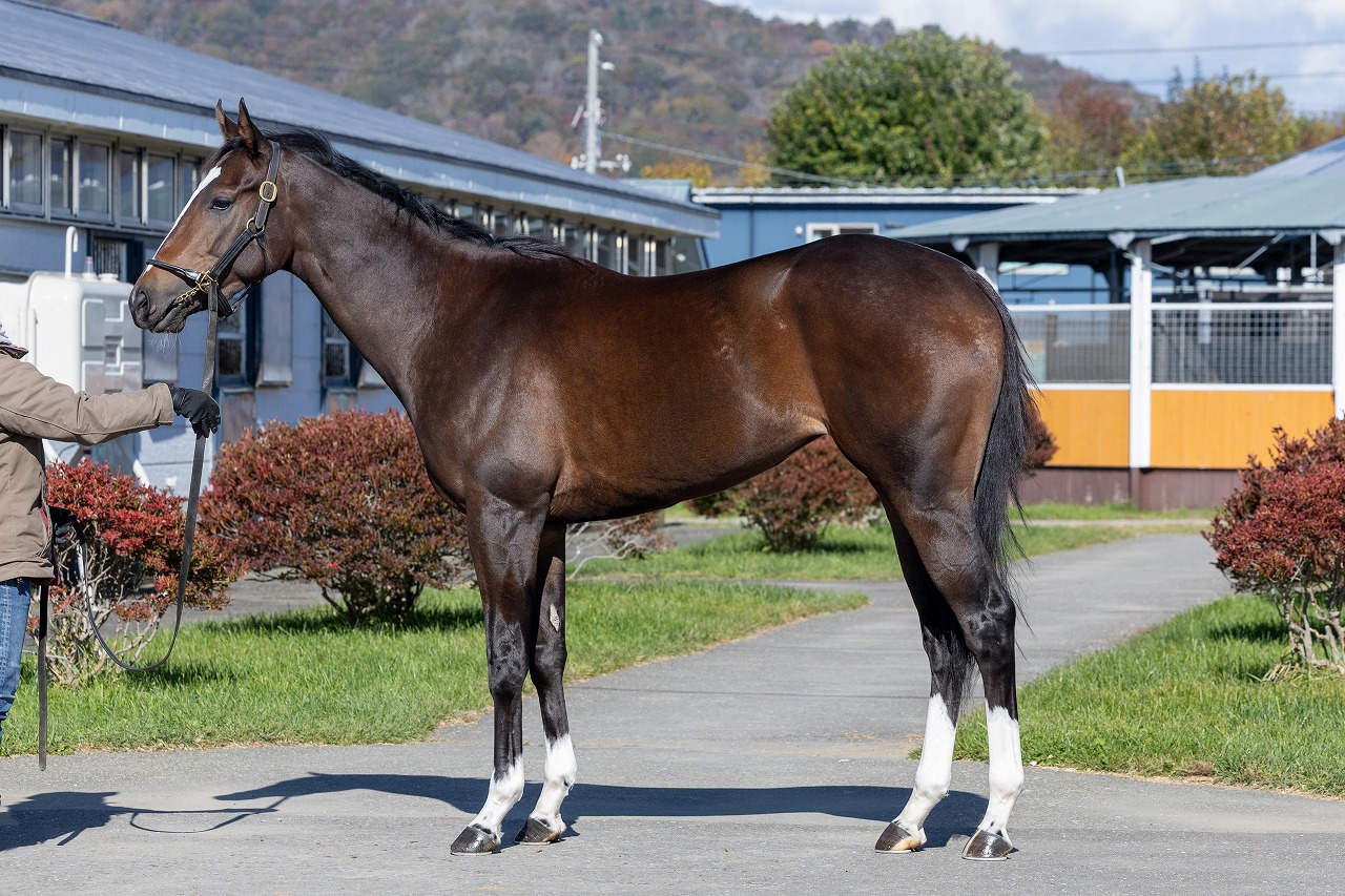 画像サムネイル