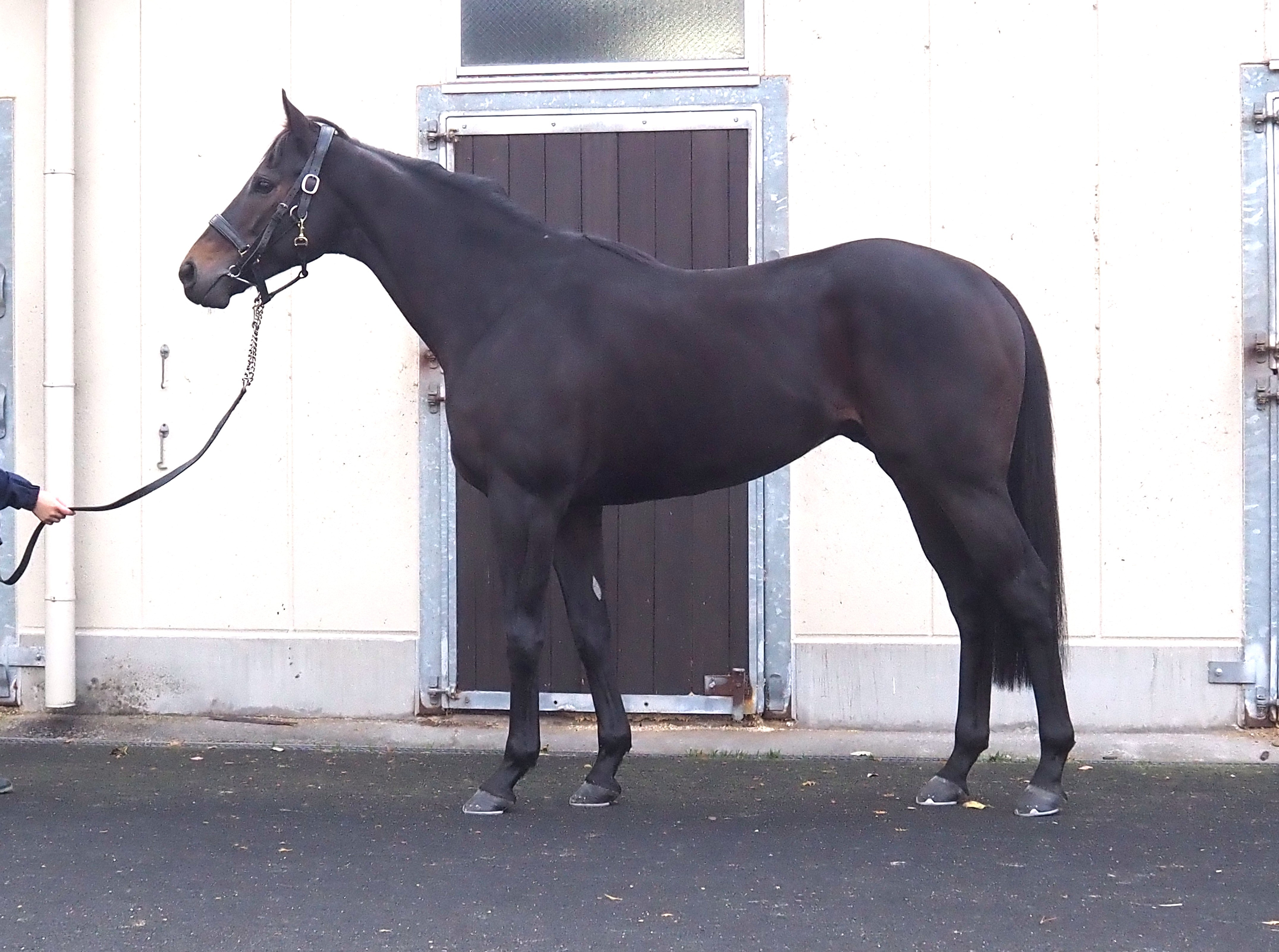 画像サムネイル