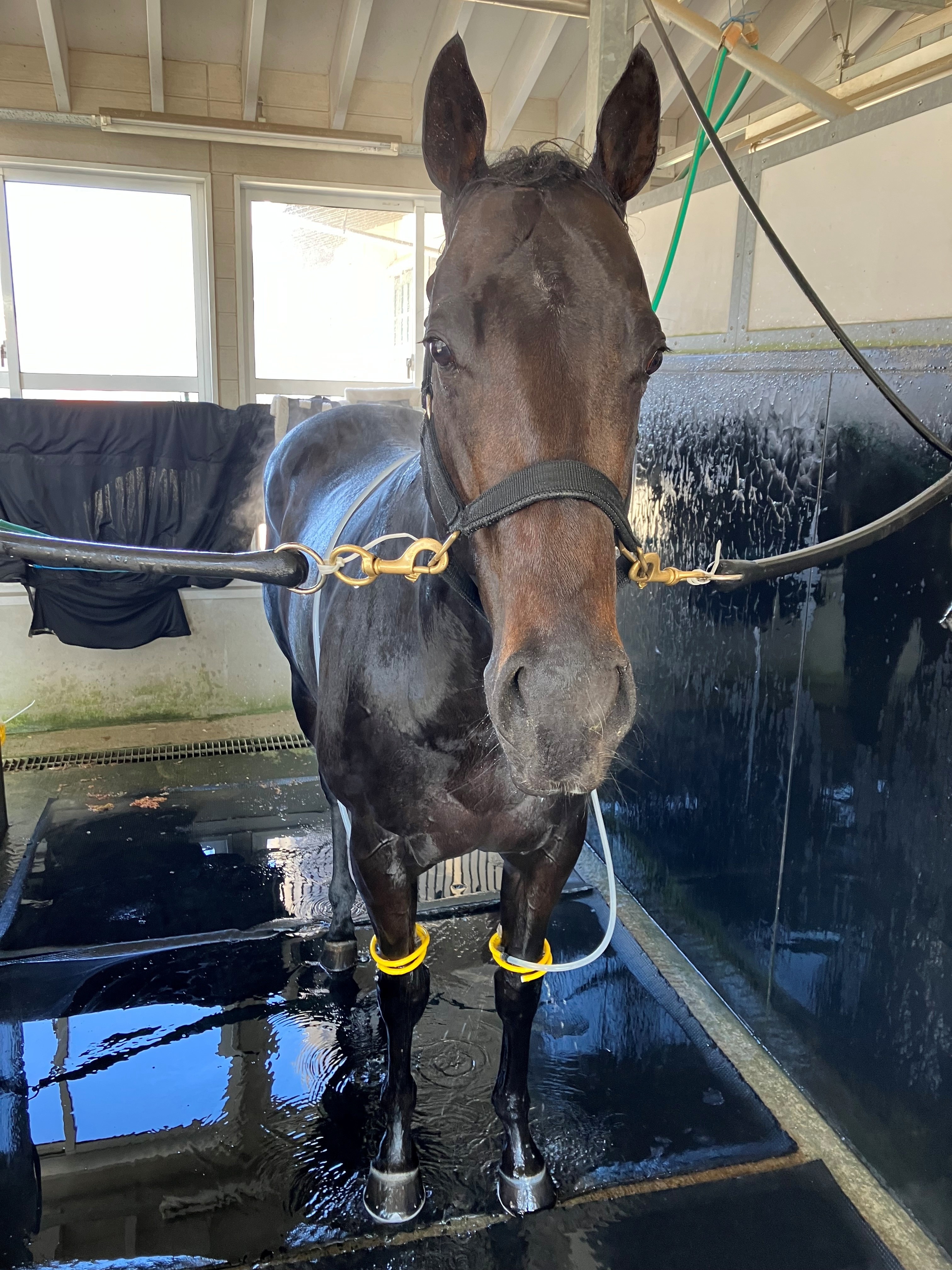 画像サムネイル