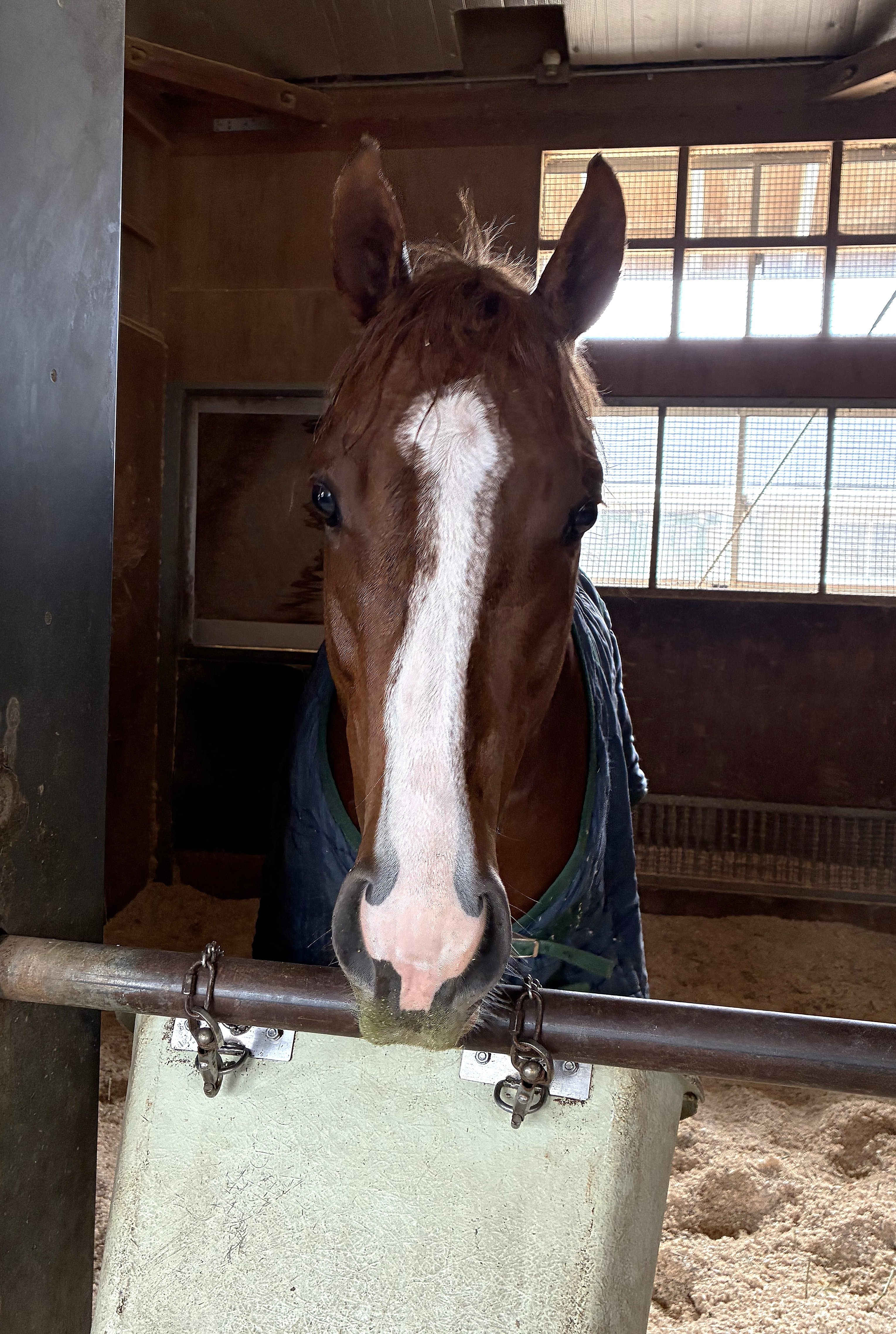 画像サムネイル