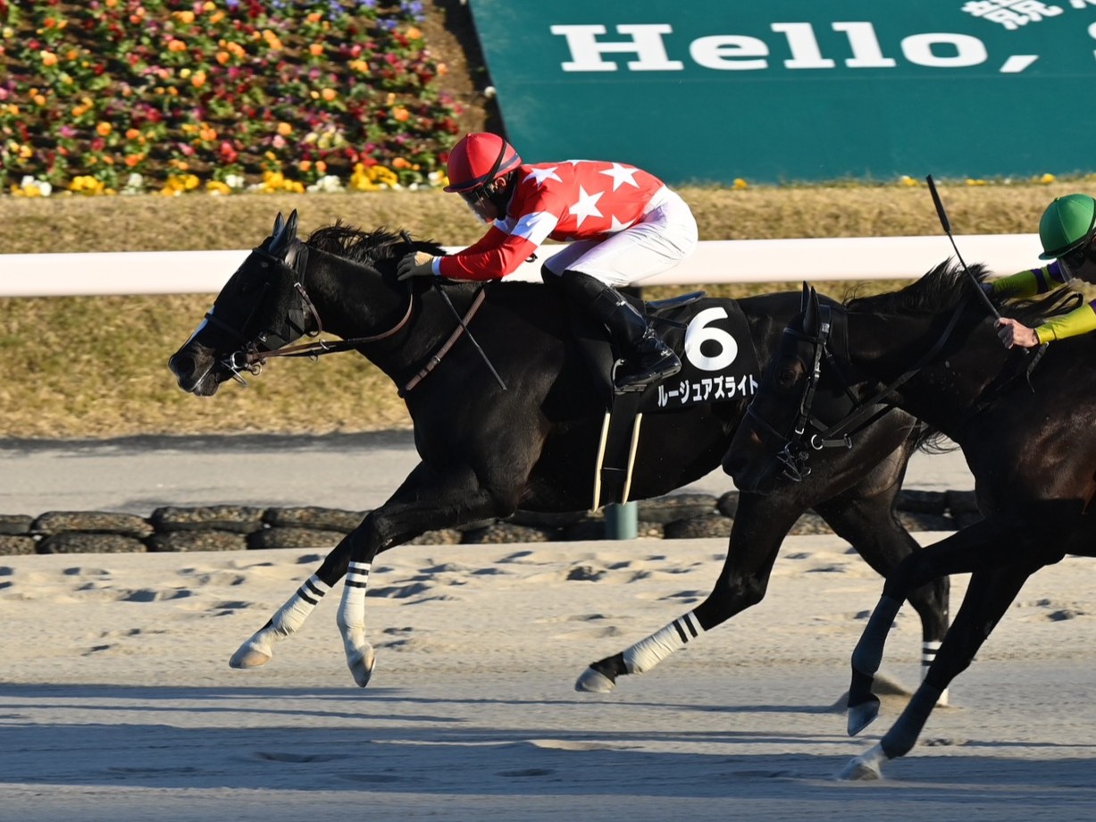 画像サムネイル