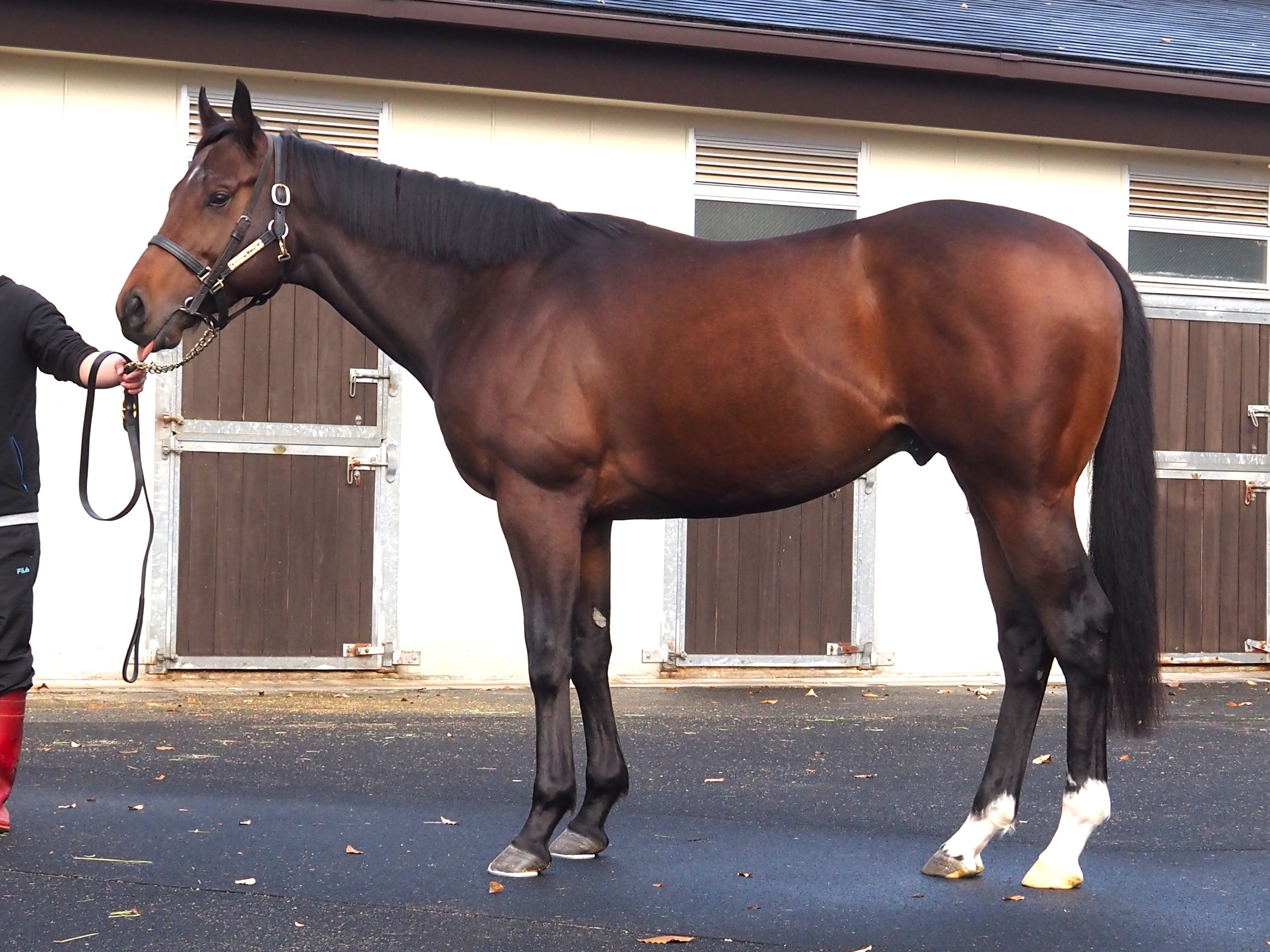 画像サムネイル