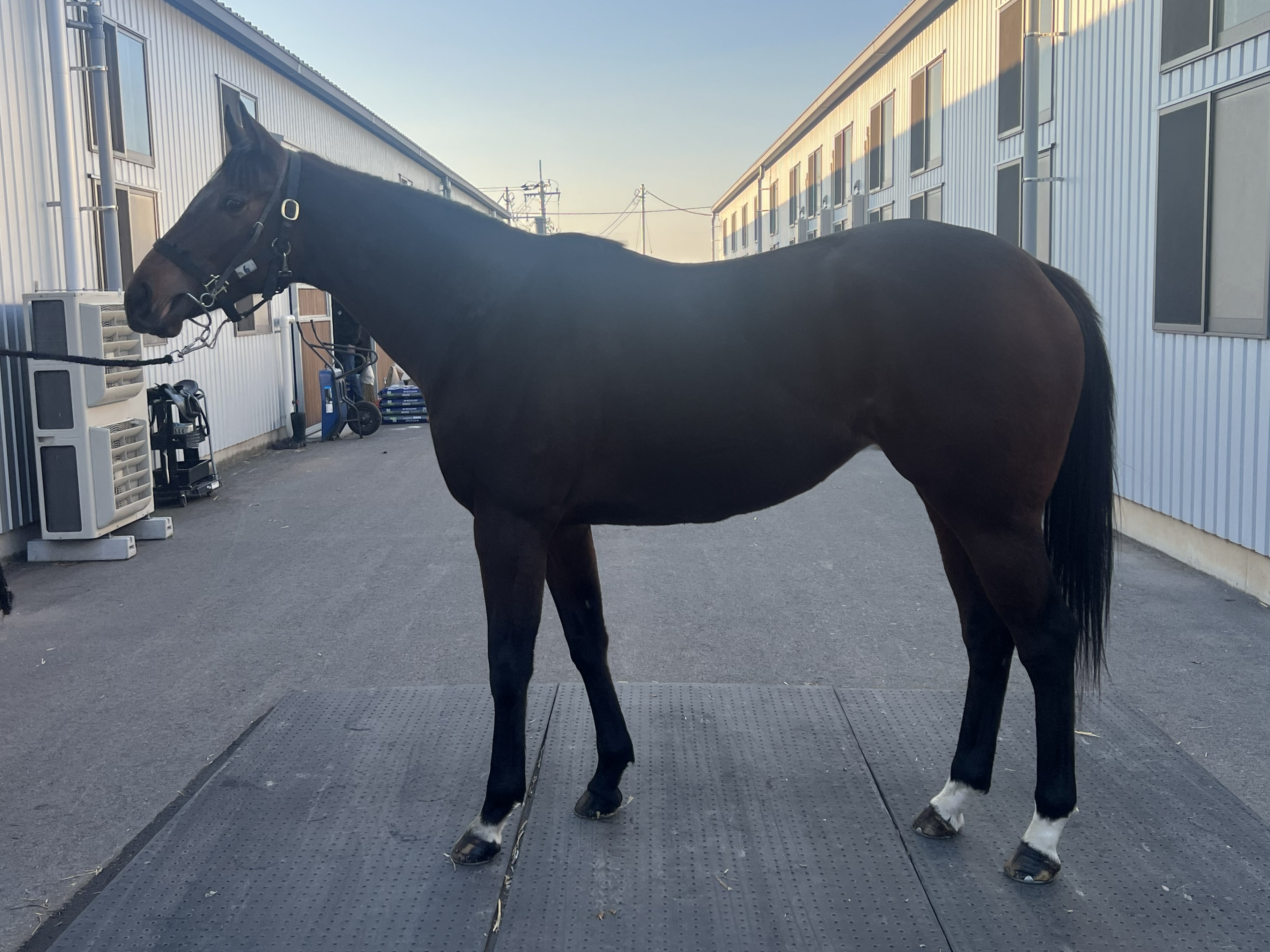 画像サムネイル