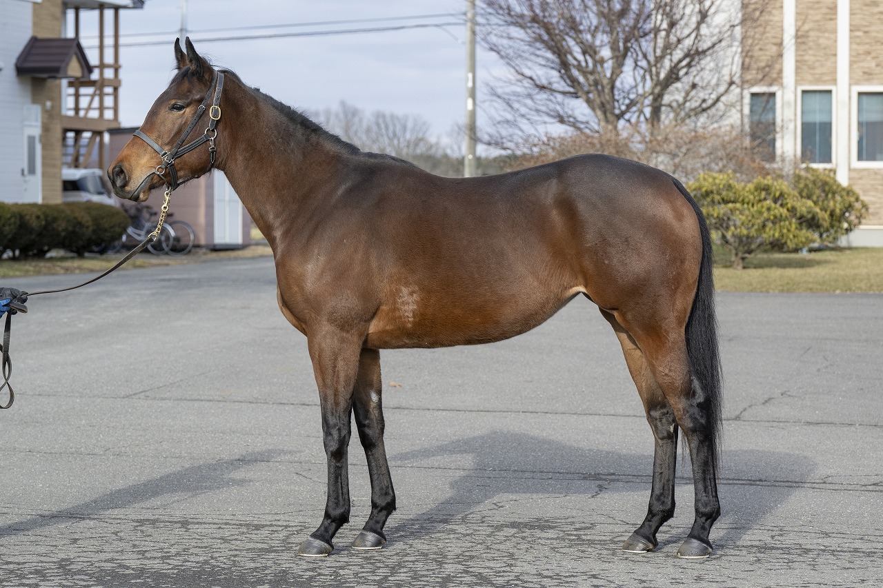 画像サムネイル