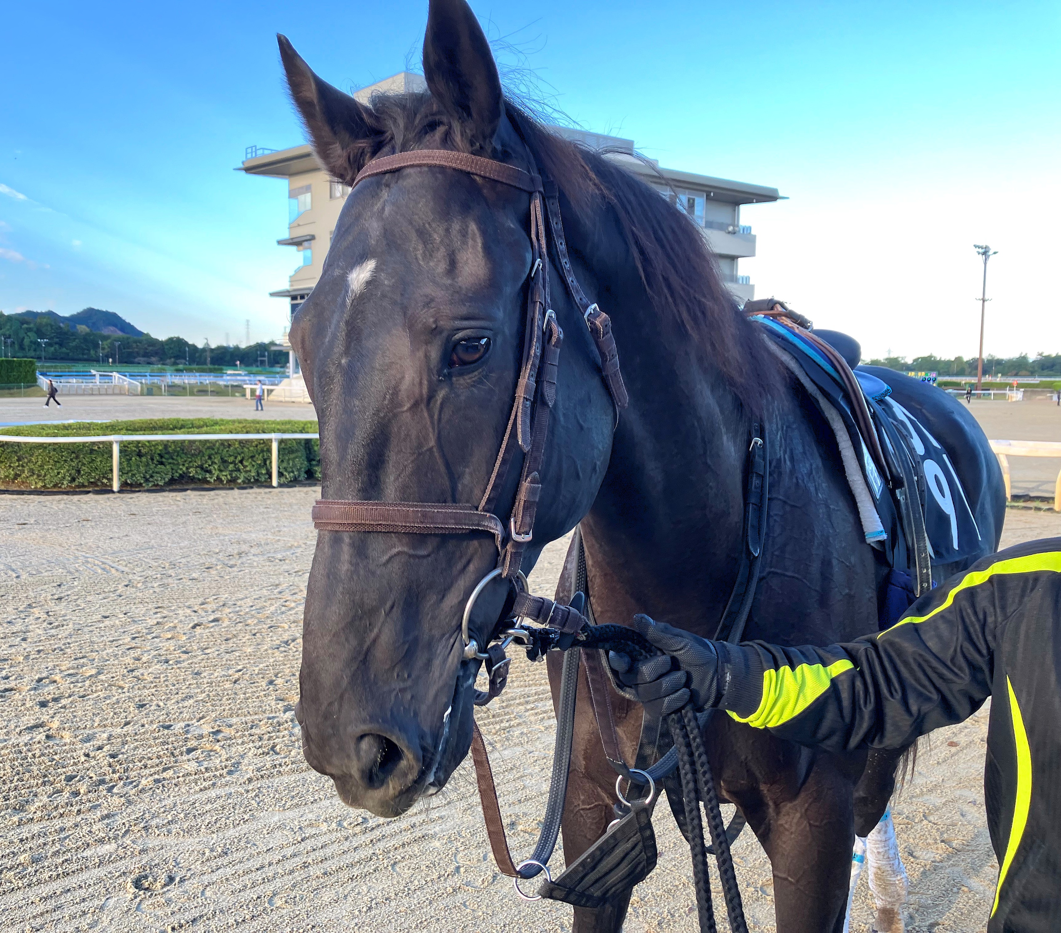 画像サムネイル