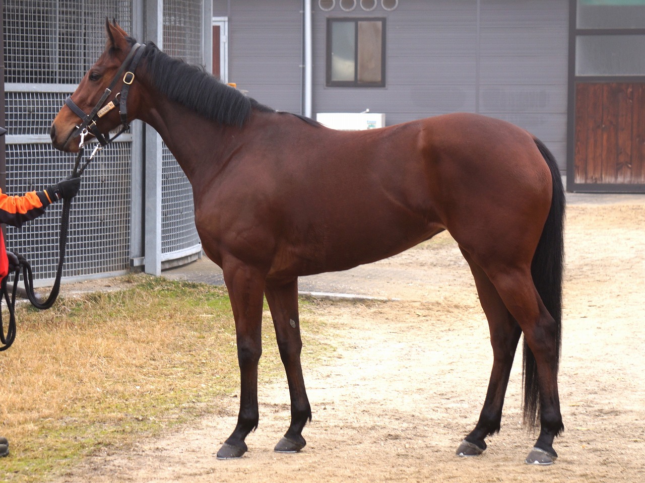 画像サムネイル