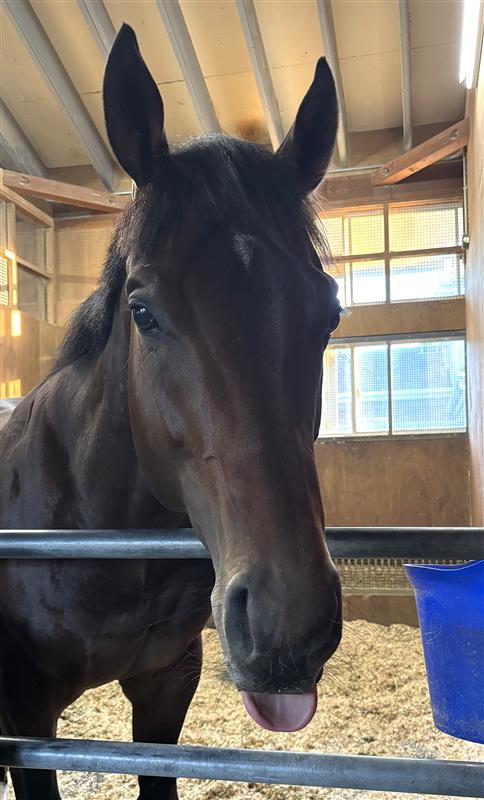 画像サムネイル