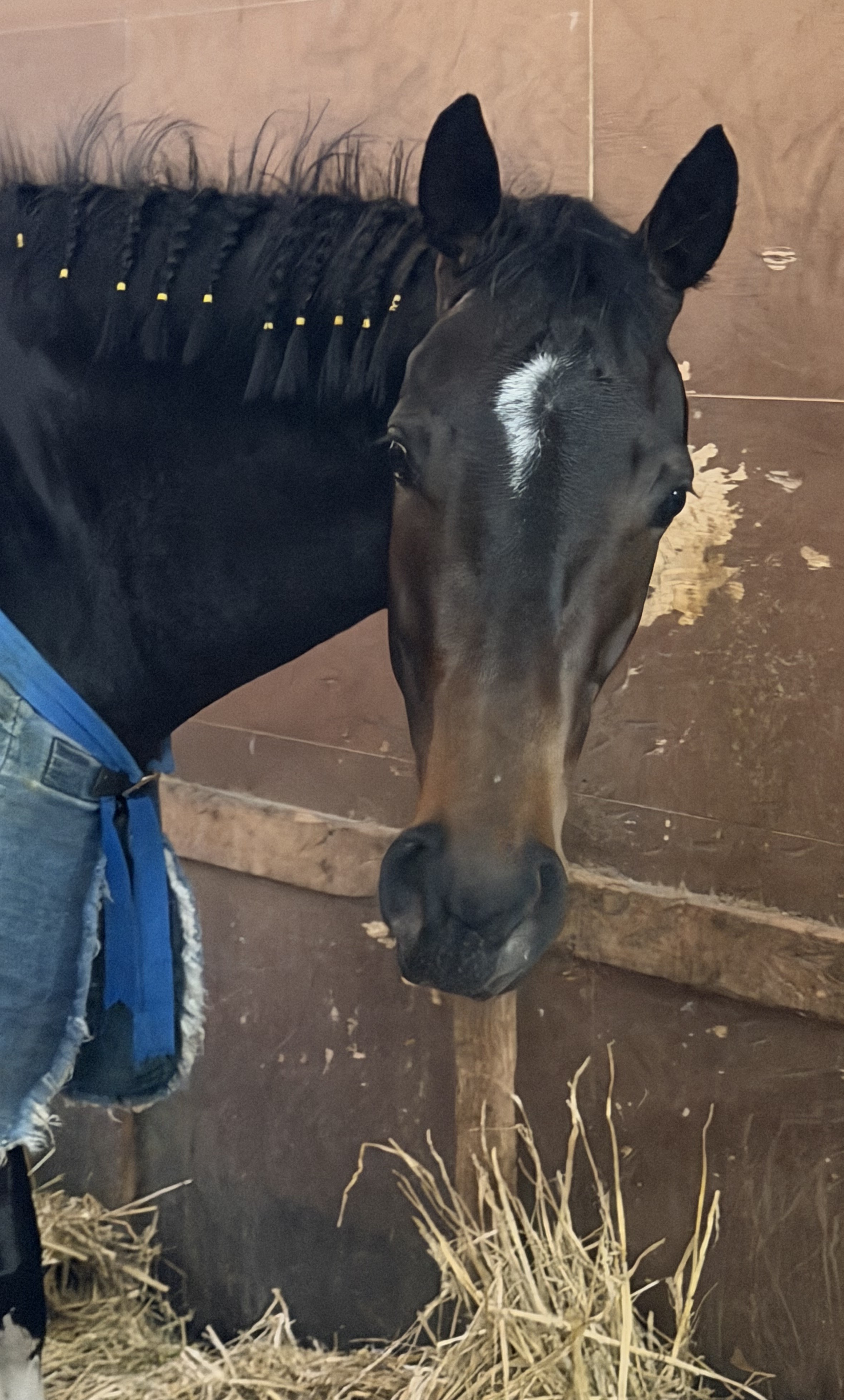 画像サムネイル