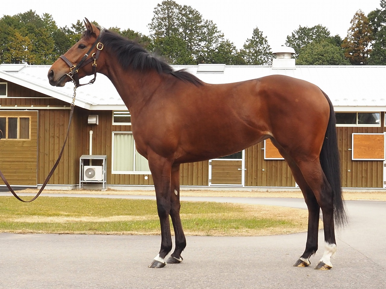 画像サムネイル