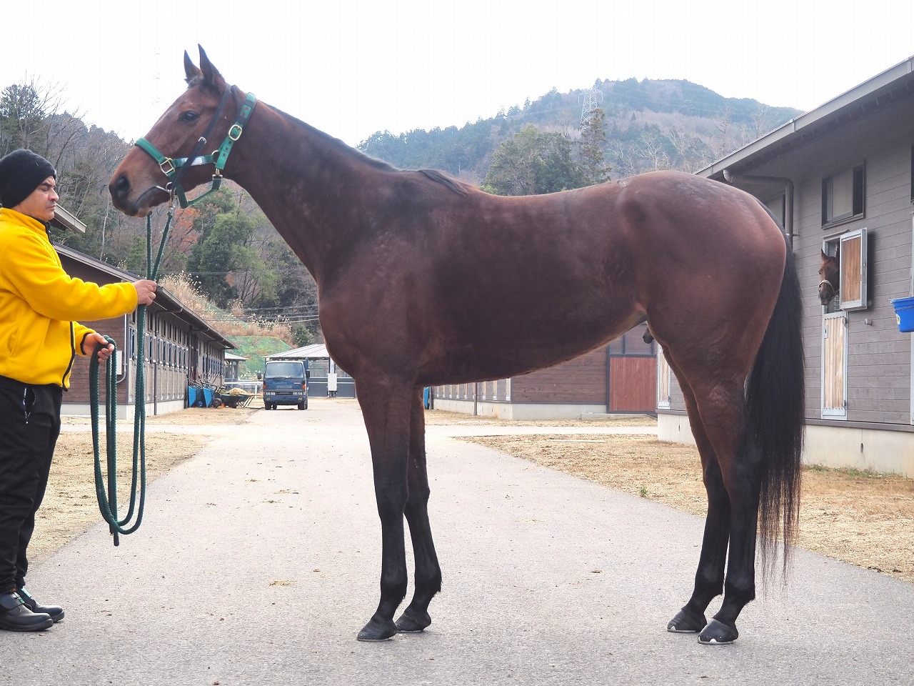 画像サムネイル